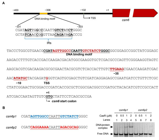 Regulation of CRISPR-Associated Genes by Rv1776c (CasR) in ...