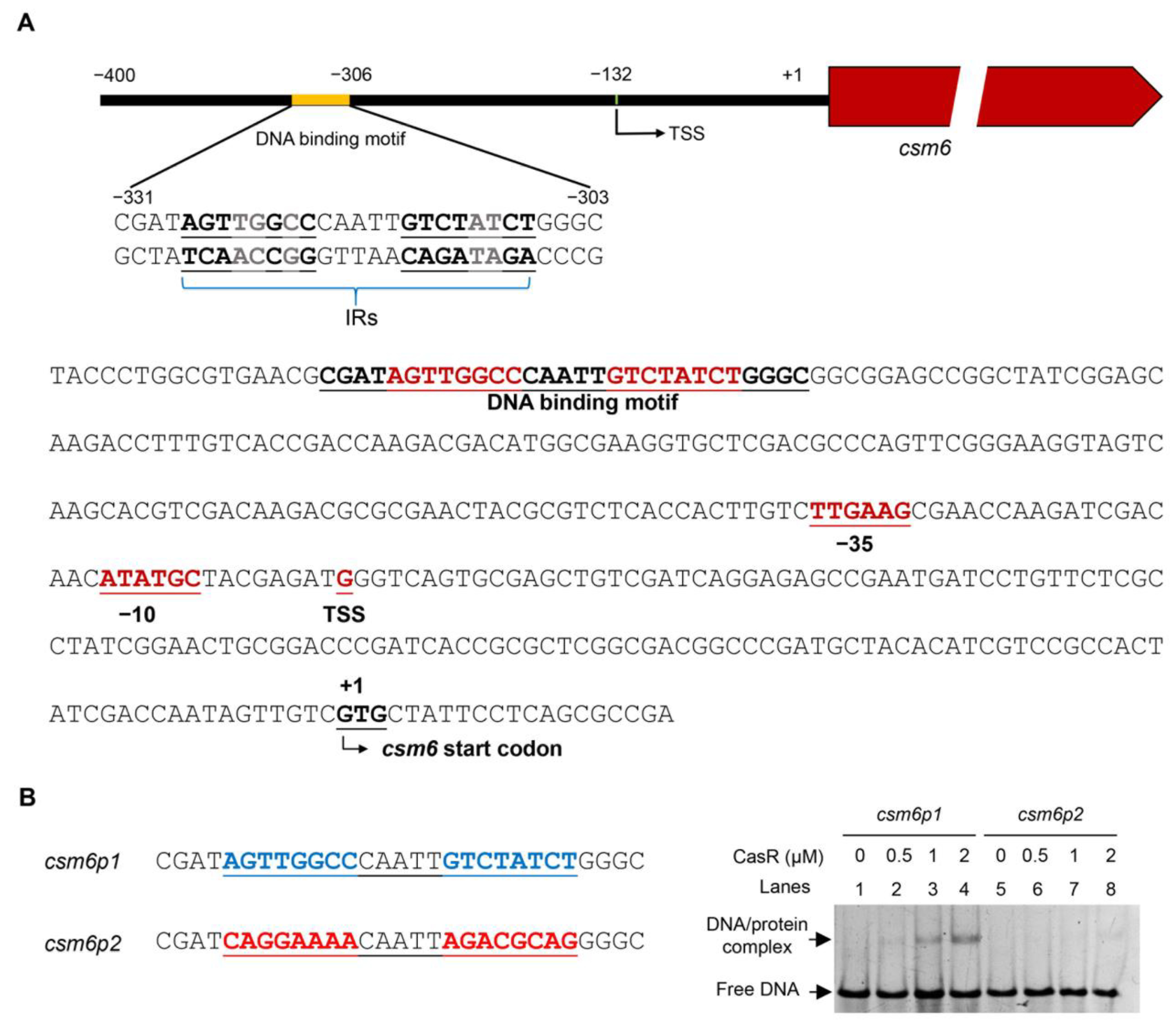 Biomolecules 13 00400 g005
