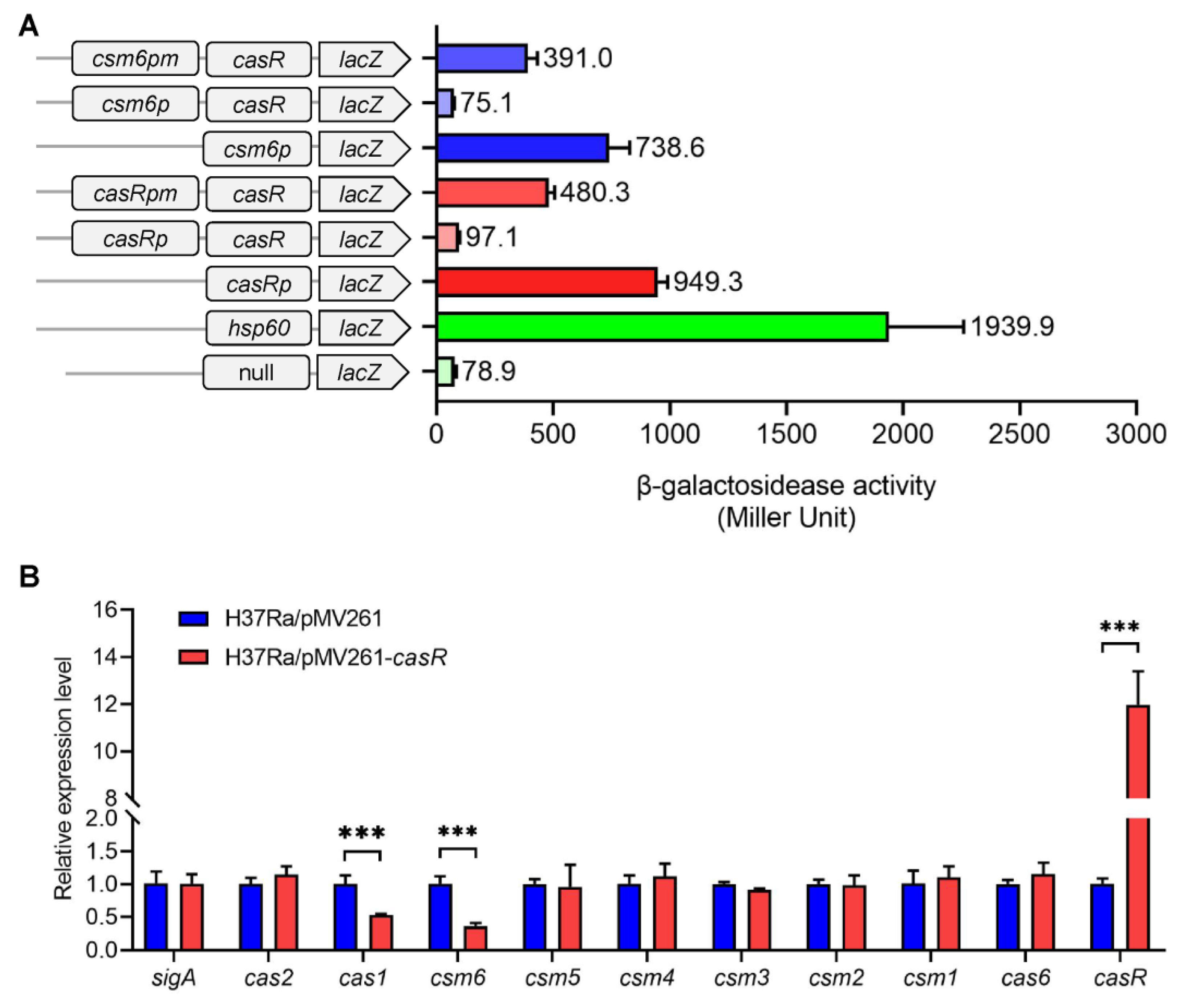 Biomolecules 13 00400 g006