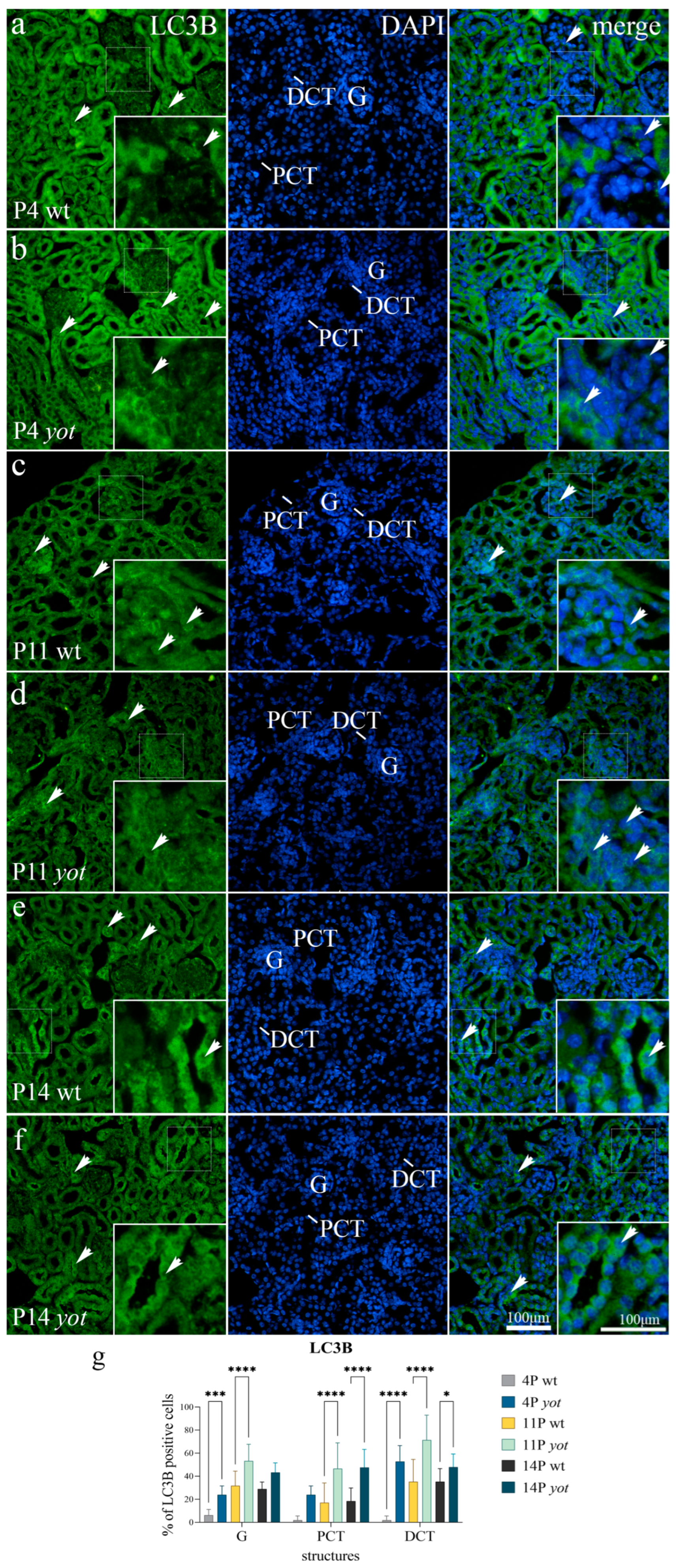 Biomolecules 13 00402 g002 Biomolecules 13 00402 g002