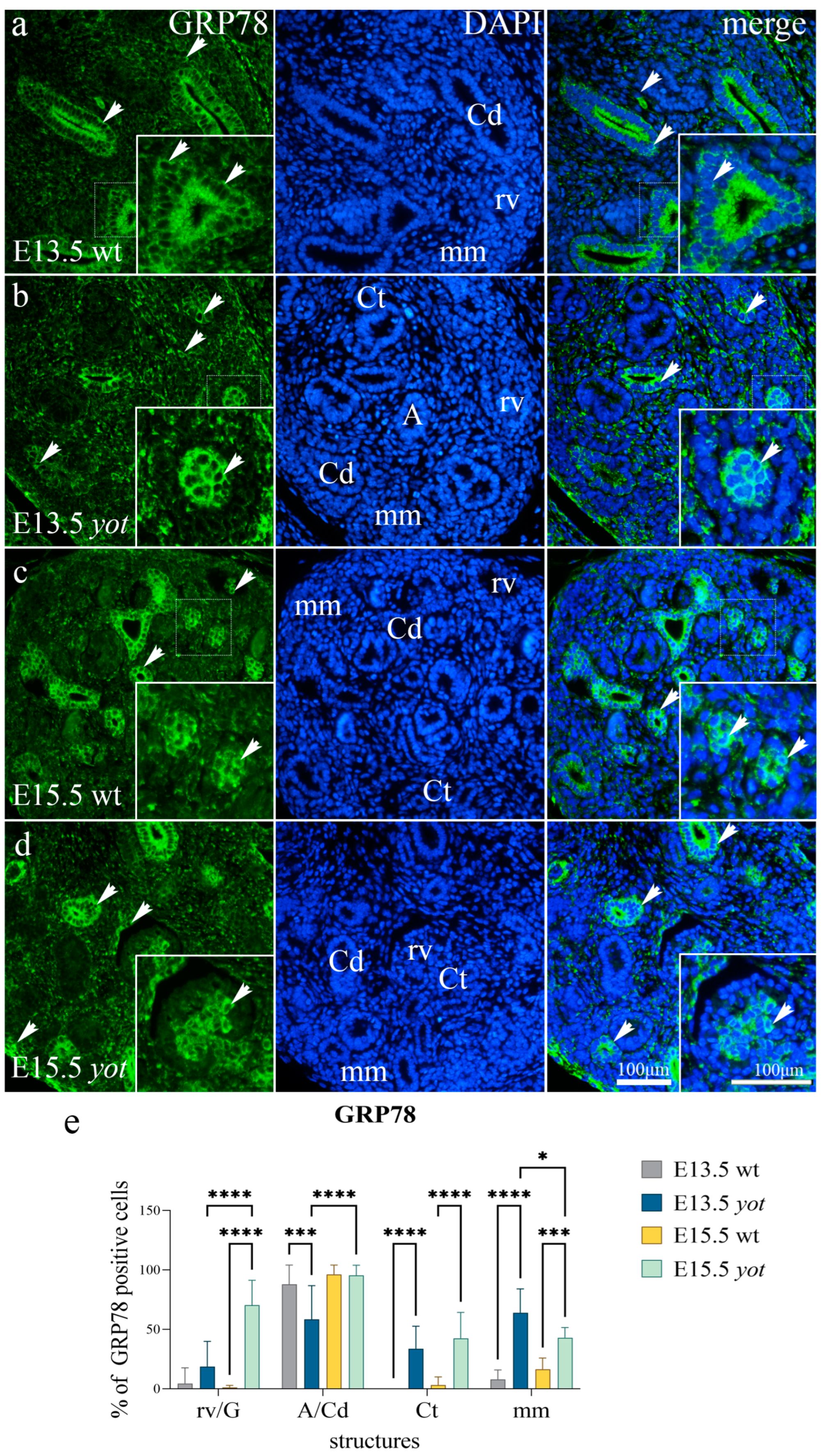 Biomolecules 13 00402 g003 Biomolecules 13 00402 g003
