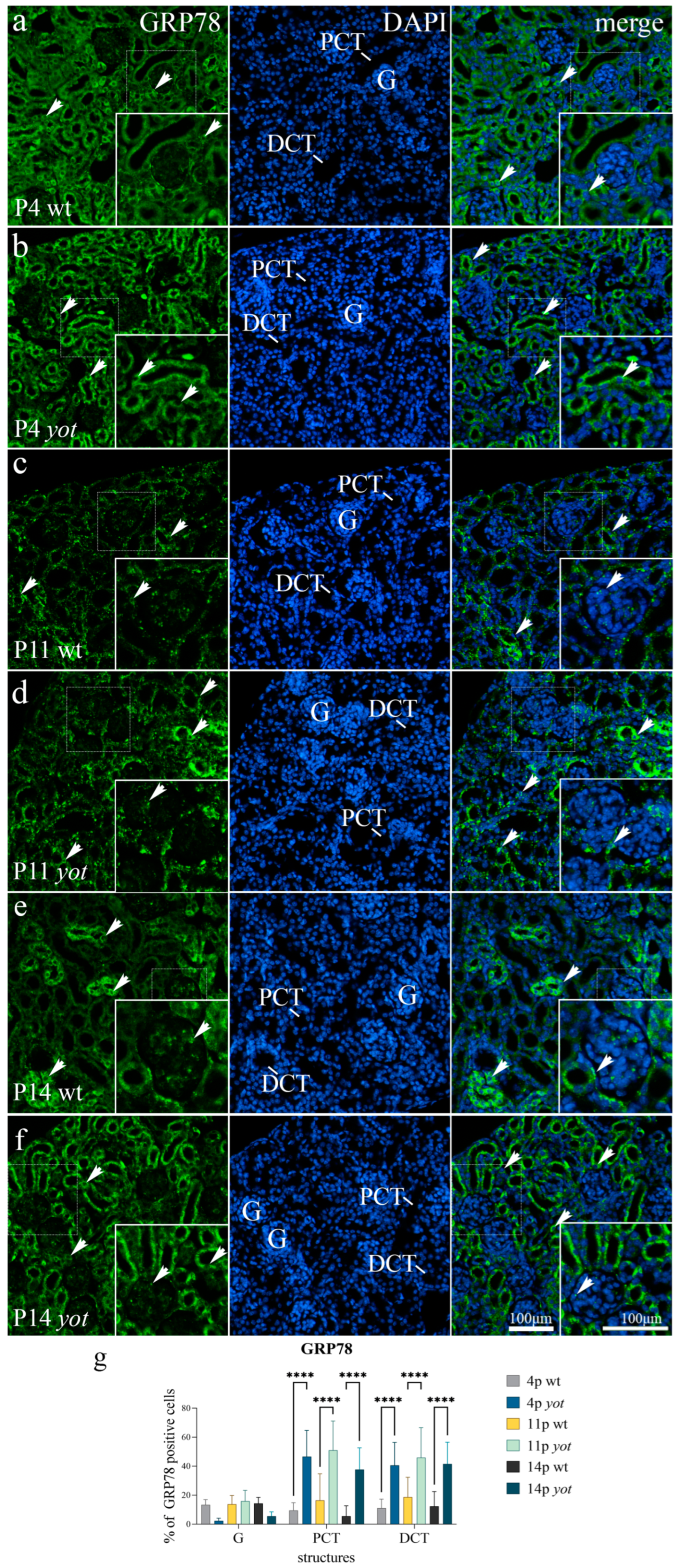 Biomolecules 13 00402 g004 Biomolecules 13 00402 g004