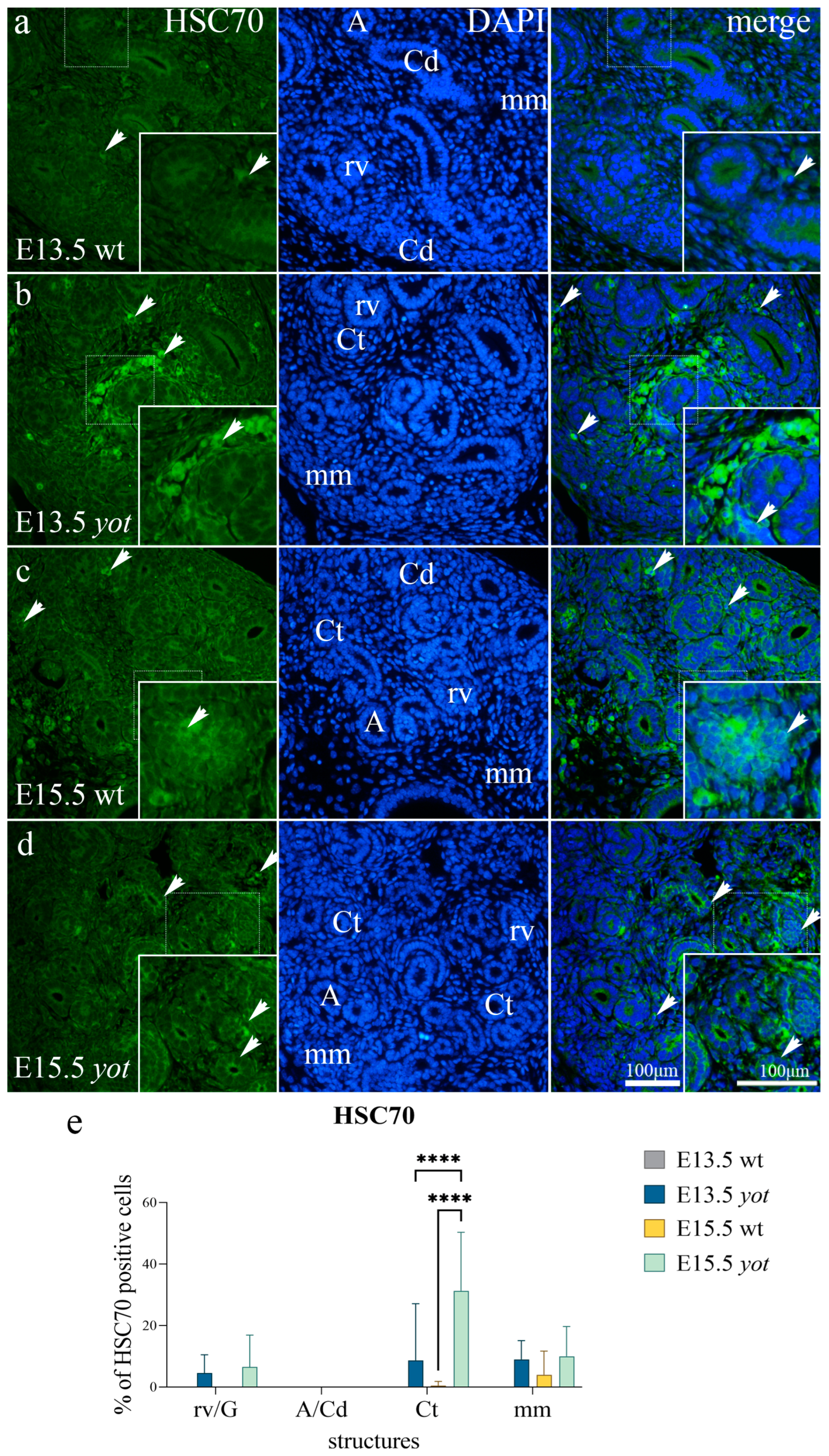 Biomolecules 13 00402 g005 Biomolecules 13 00402 g005