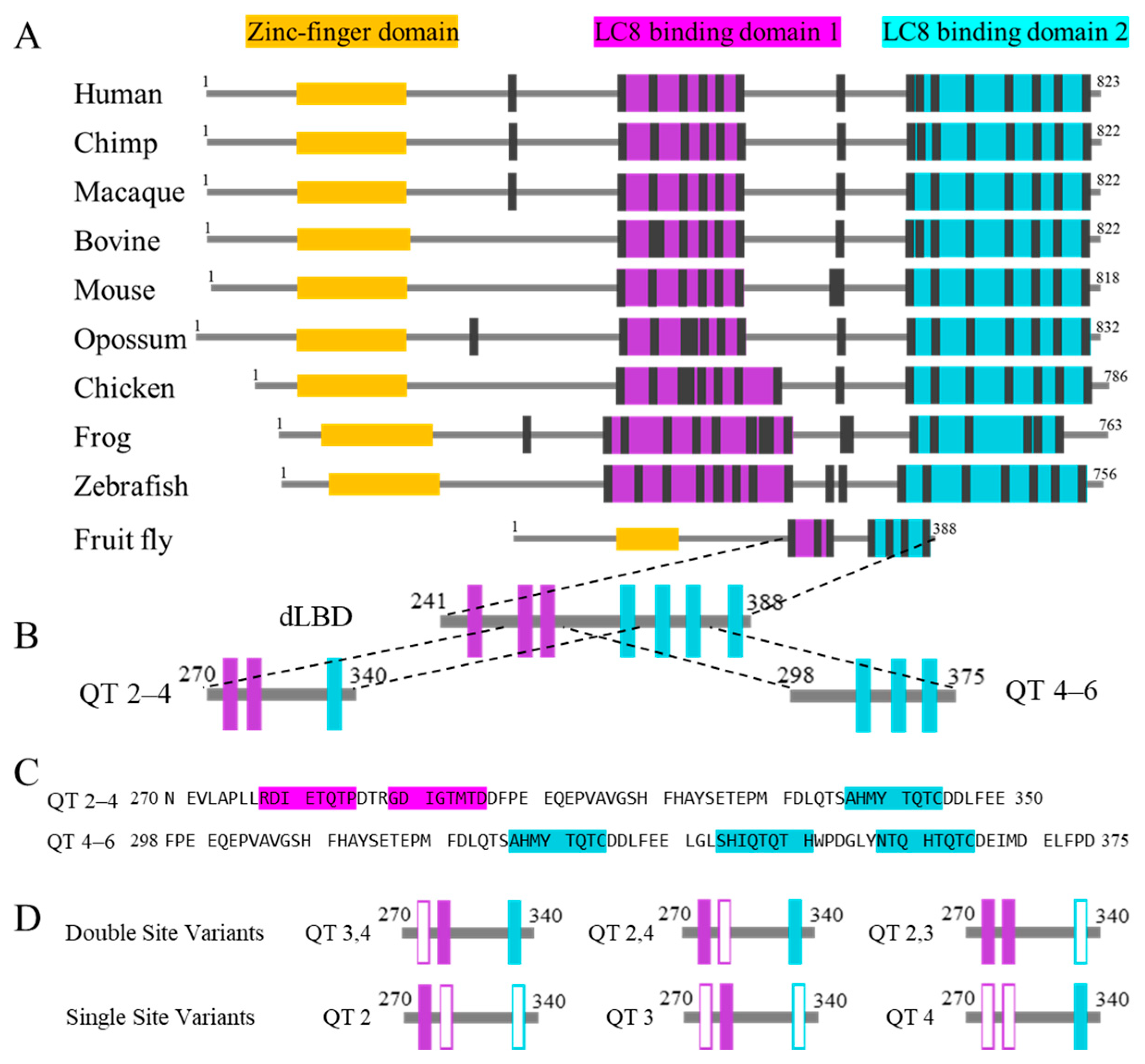 Biomolecules 13 00404 g002 Biomolecules 13 00404 g002