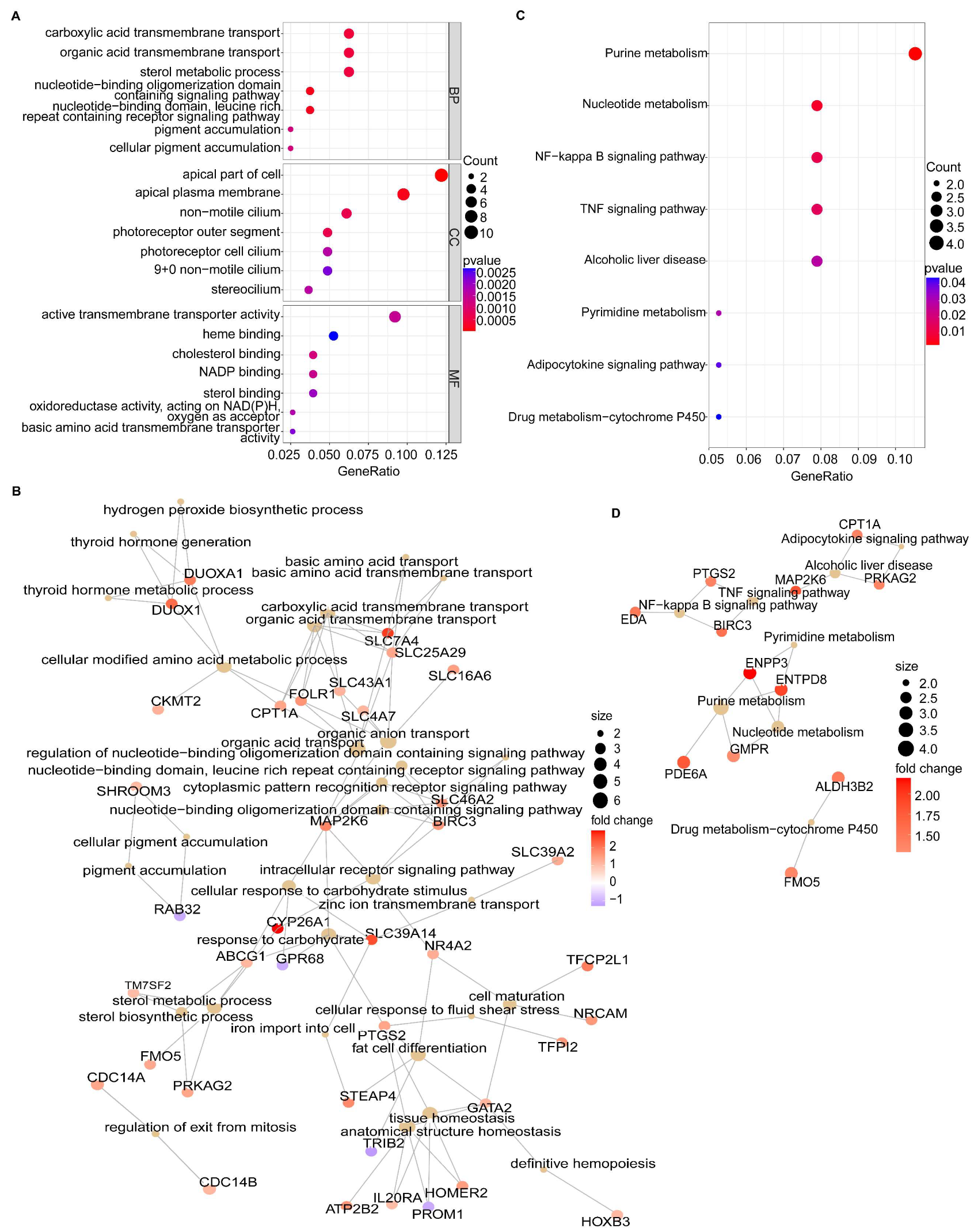 Biomolecules 13 00406 g003 Biomolecules 13 00406 g003