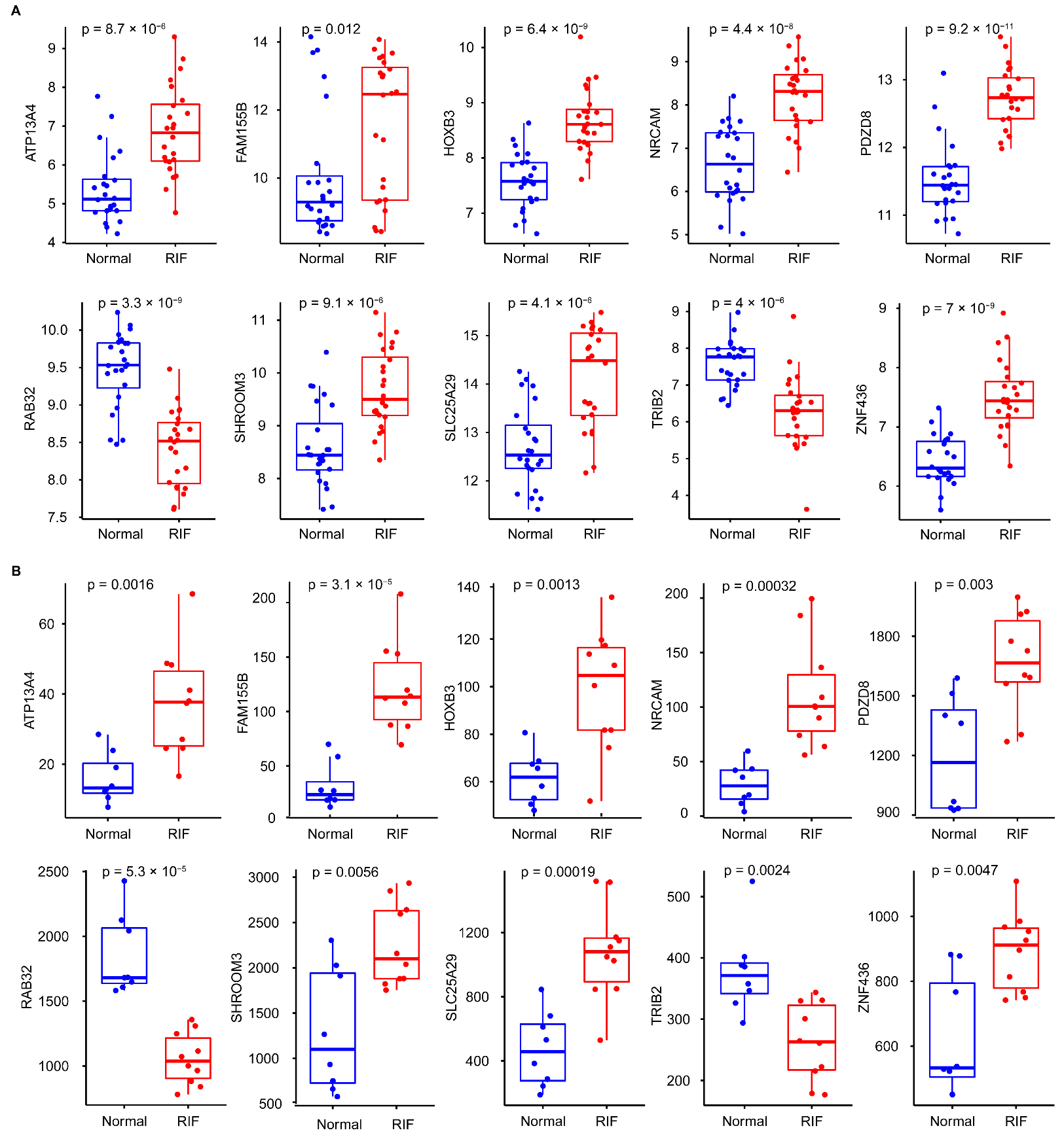Biomolecules 13 00406 g005 Biomolecules 13 00406 g005