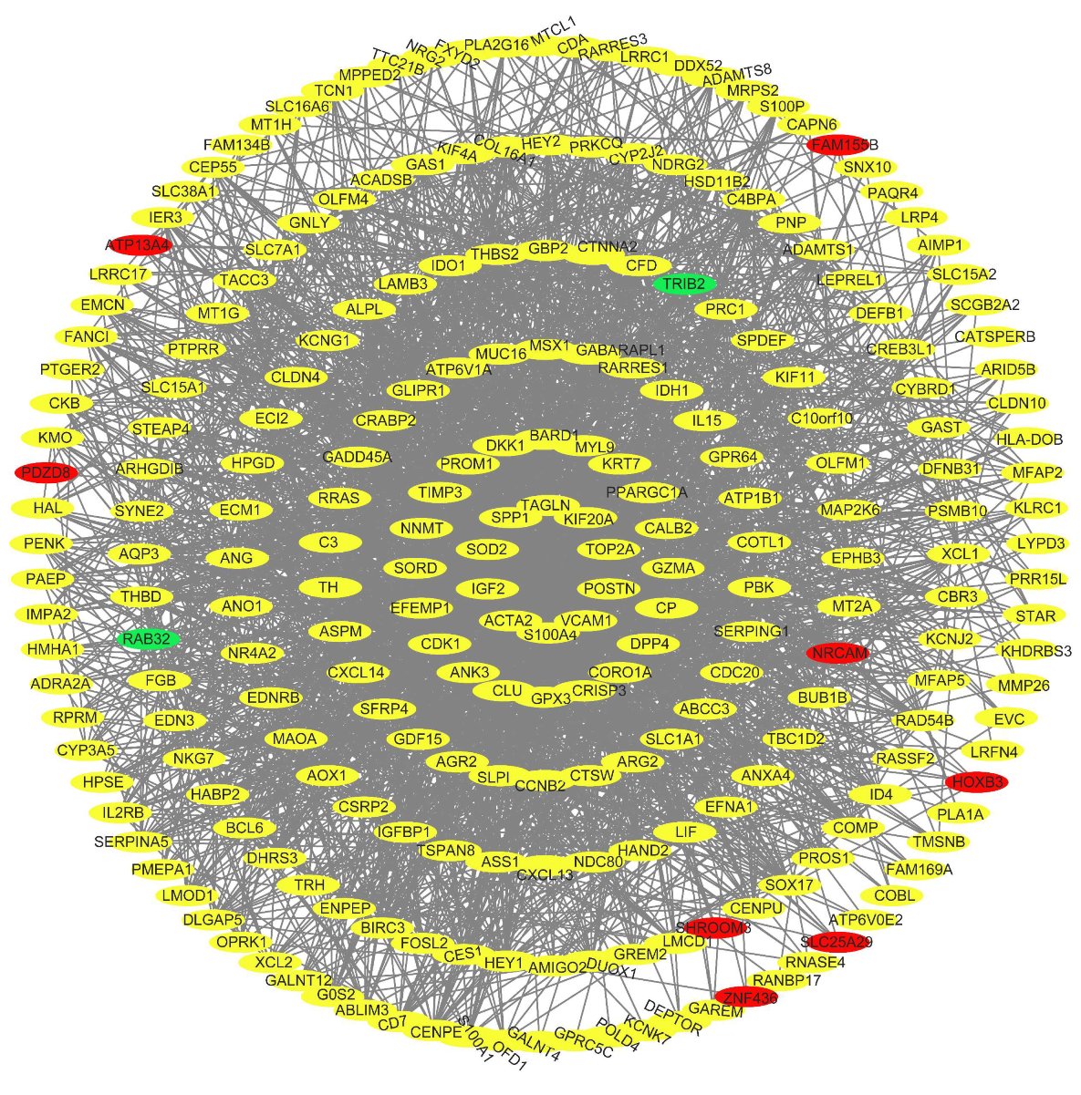Biomolecules 13 00406 g007 Biomolecules 13 00406 g007