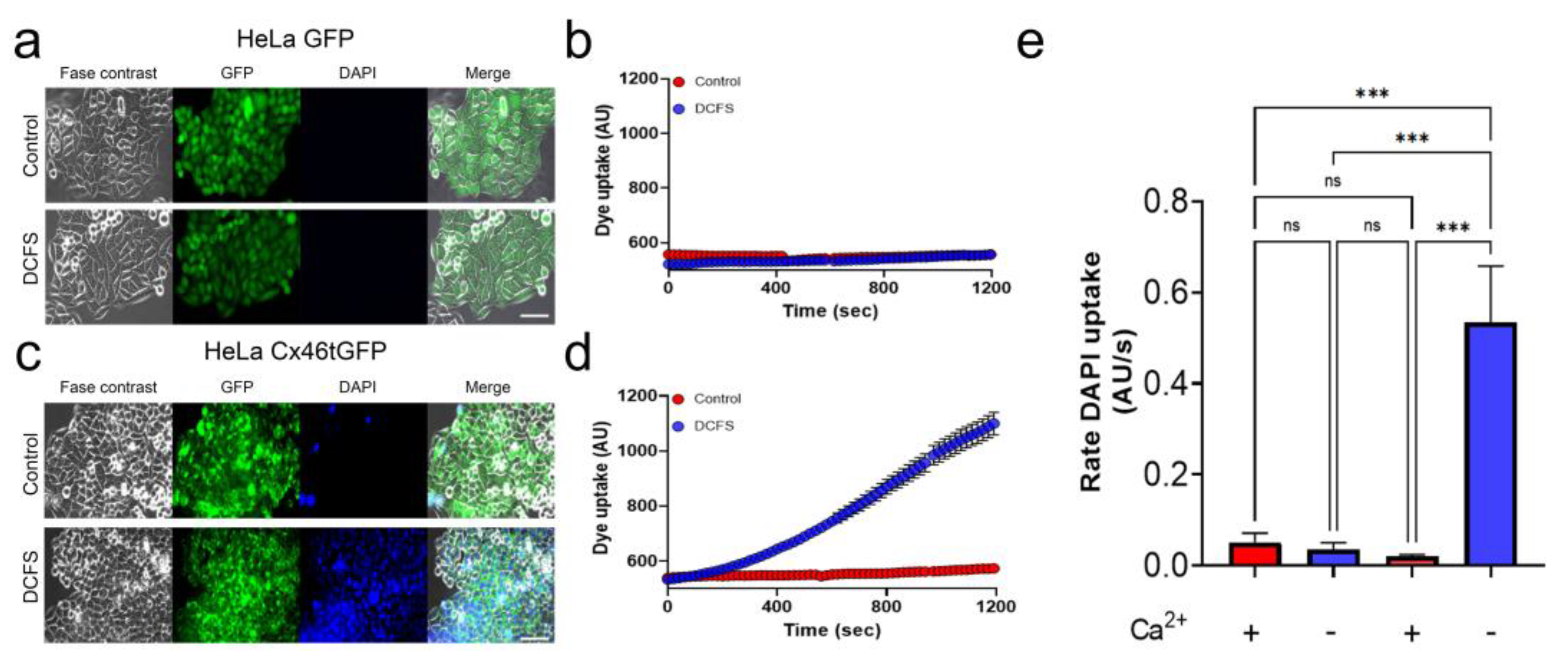 Biomolecules 13 00411 g001 Biomolecules 13 00411 g001