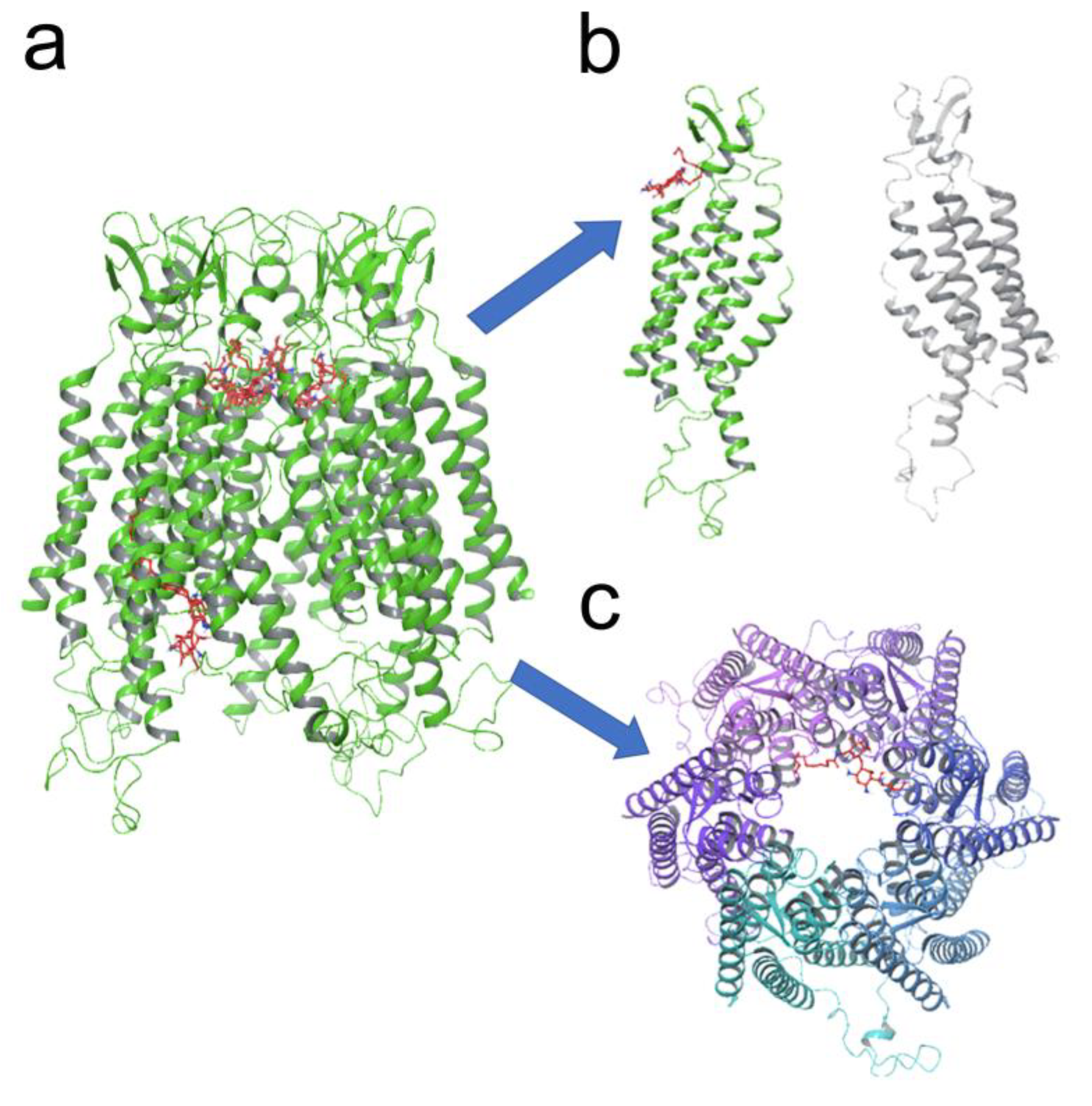 Biomolecules 13 00411 g005 Biomolecules 13 00411 g005
