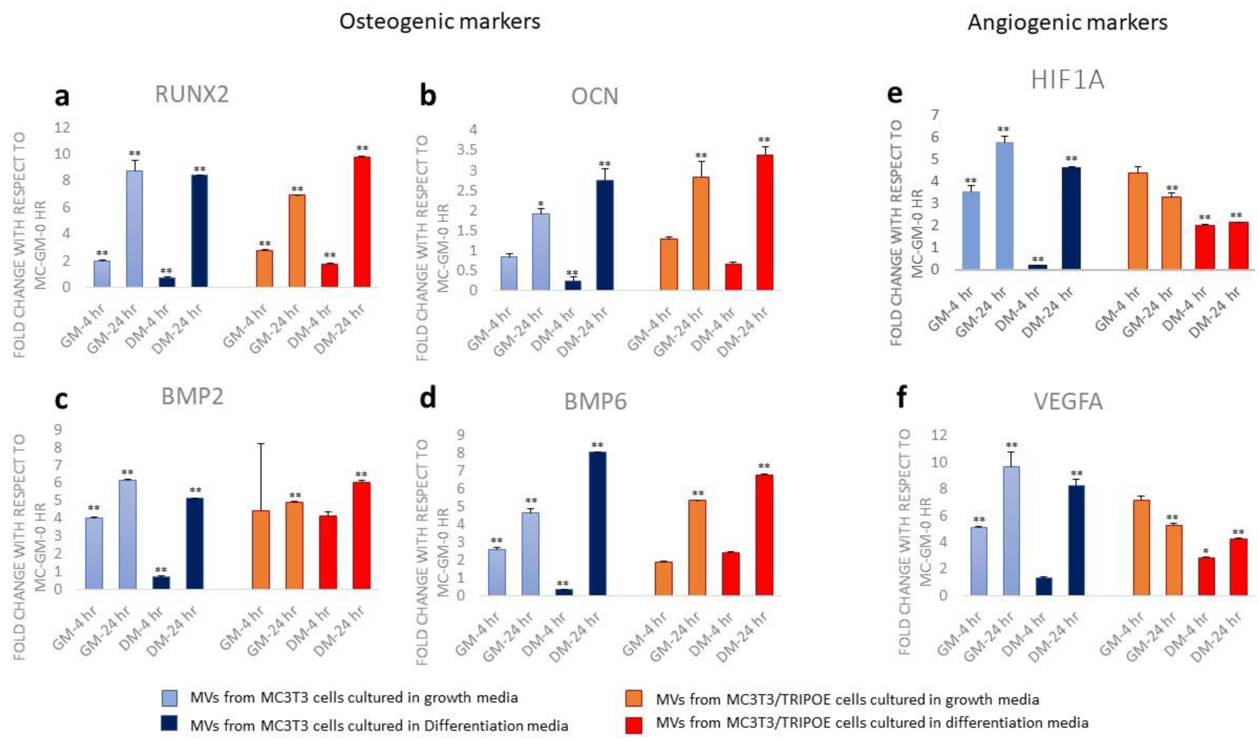 Biomolecules 13 00412 g007 Biomolecules 13 00412 g007