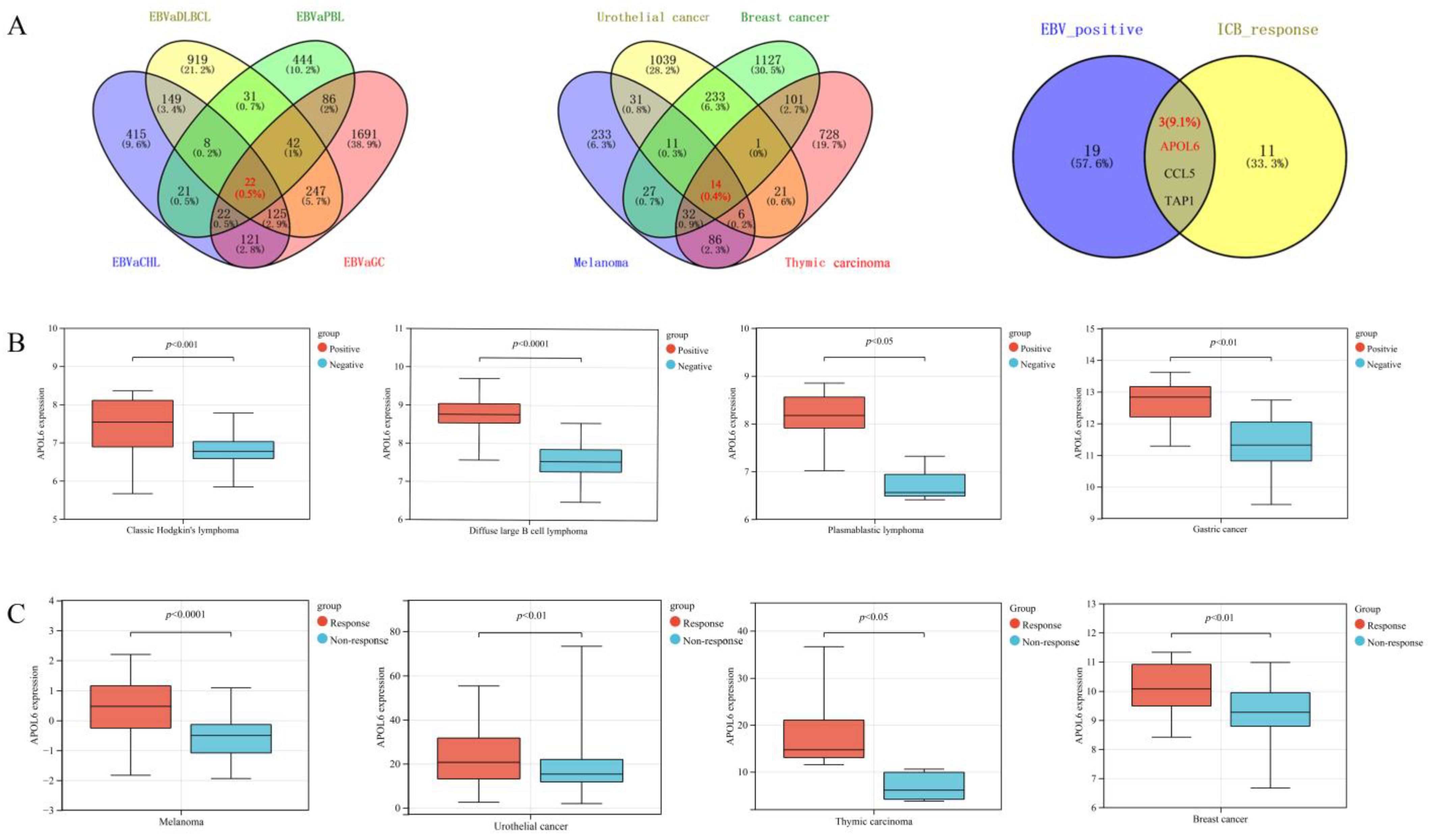 Biomolecules 13 00415 g001 Biomolecules 13 00415 g001