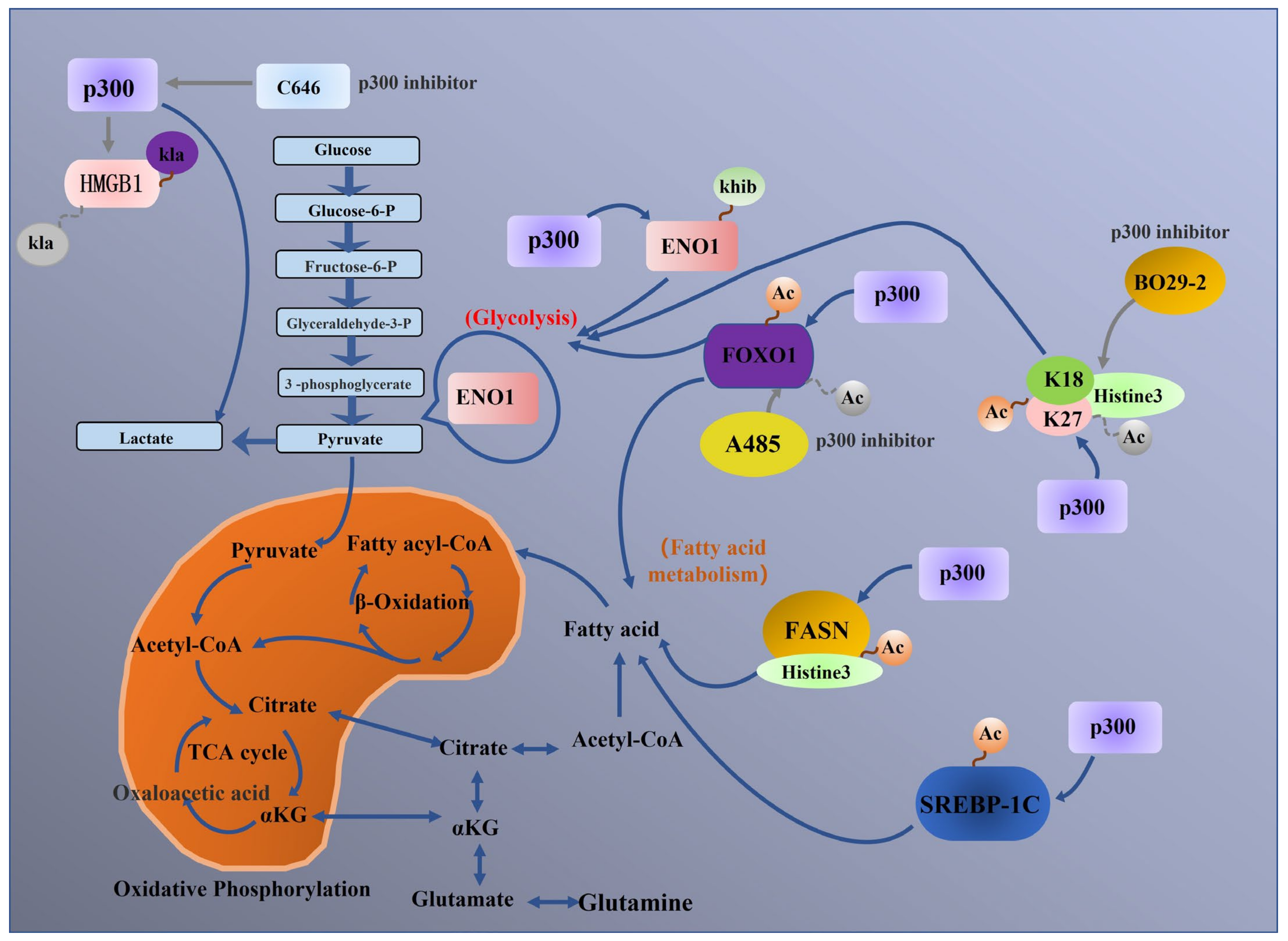 Biomolecules 13 00417 g006 550