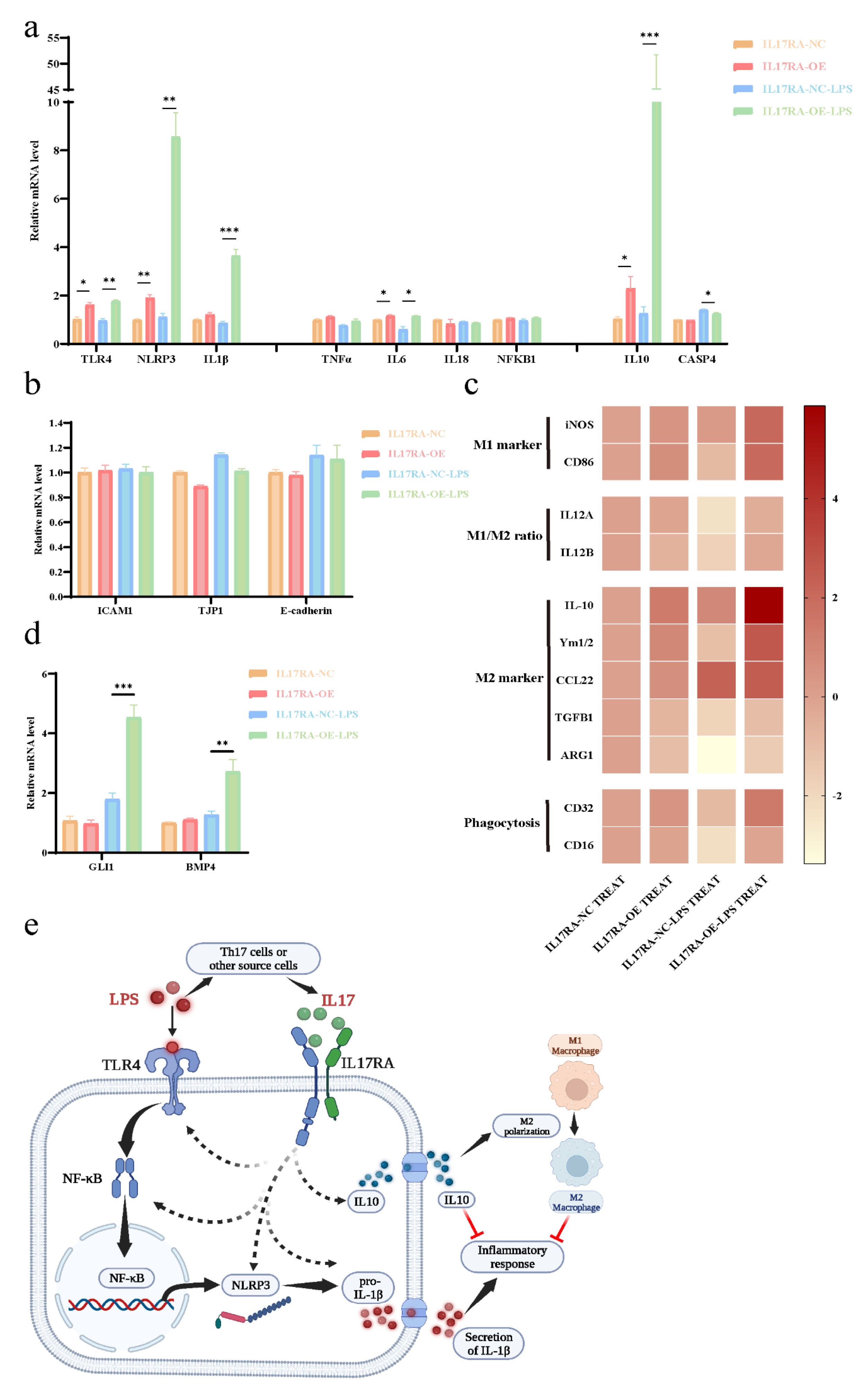 Biomolecules 13 00421 g012 Biomolecules 13 00421 g012