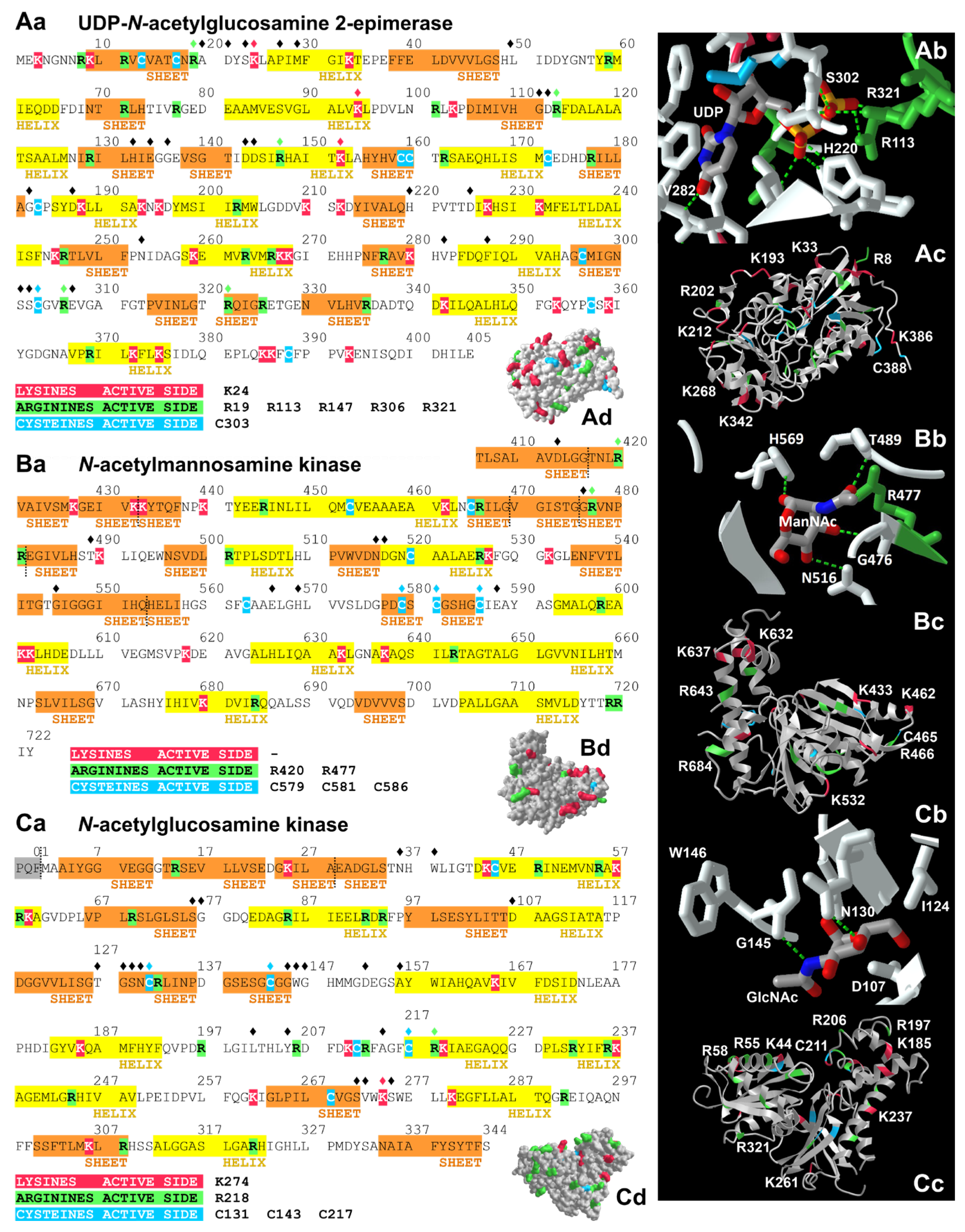 Biomolecules 13 00422 g002 Biomolecules 13 00422 g002