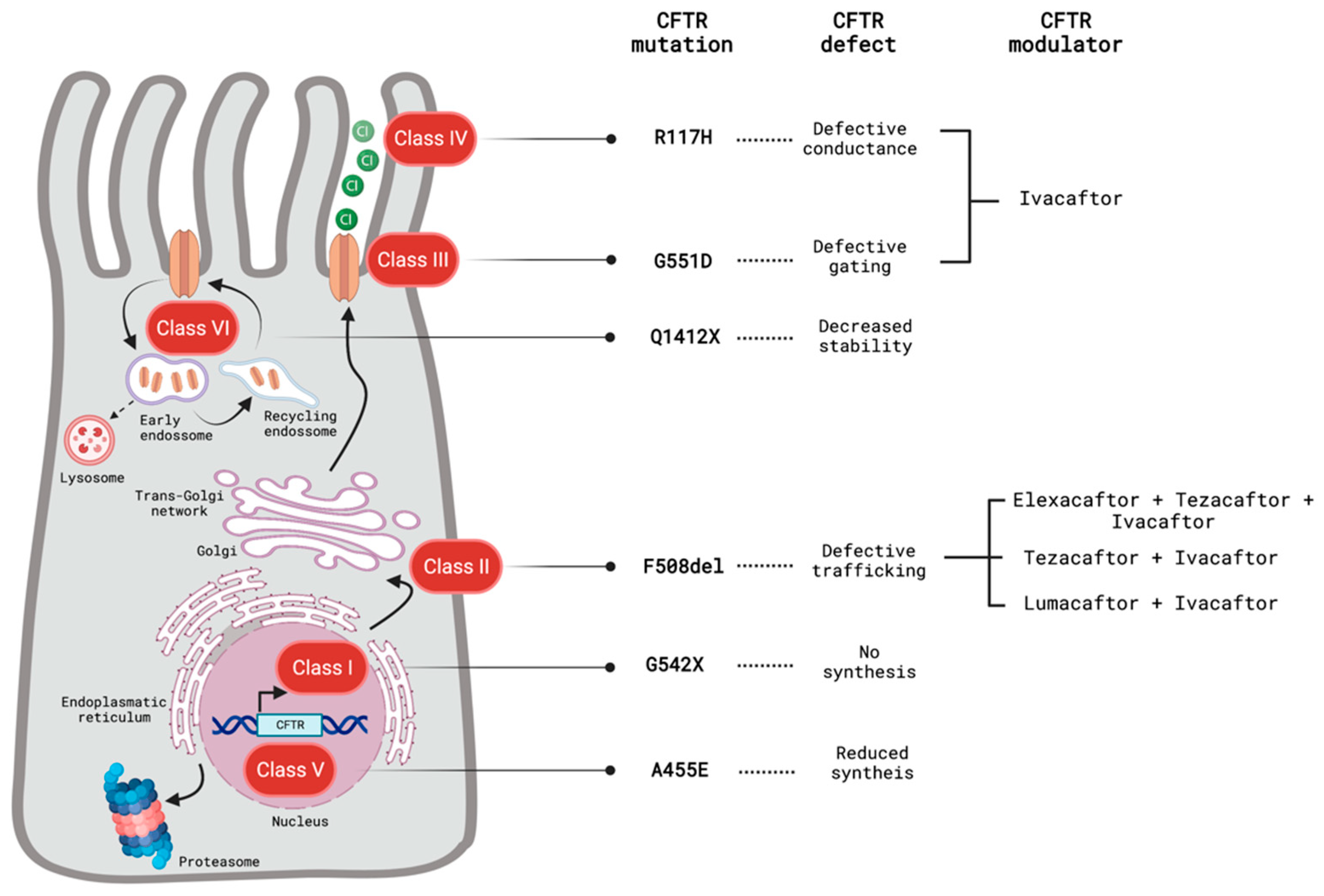 Biomolecules 13 00425 g001 Biomolecules 13 00425 g001
