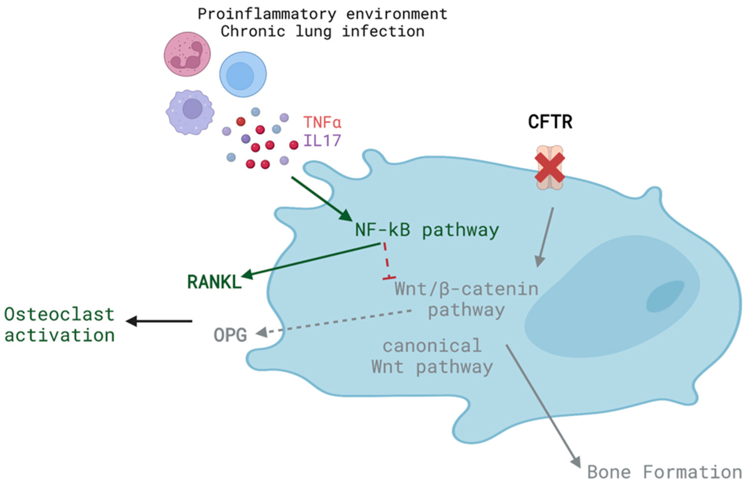 Biomolecules 13 00425 g003 Biomolecules 13 00425 g003