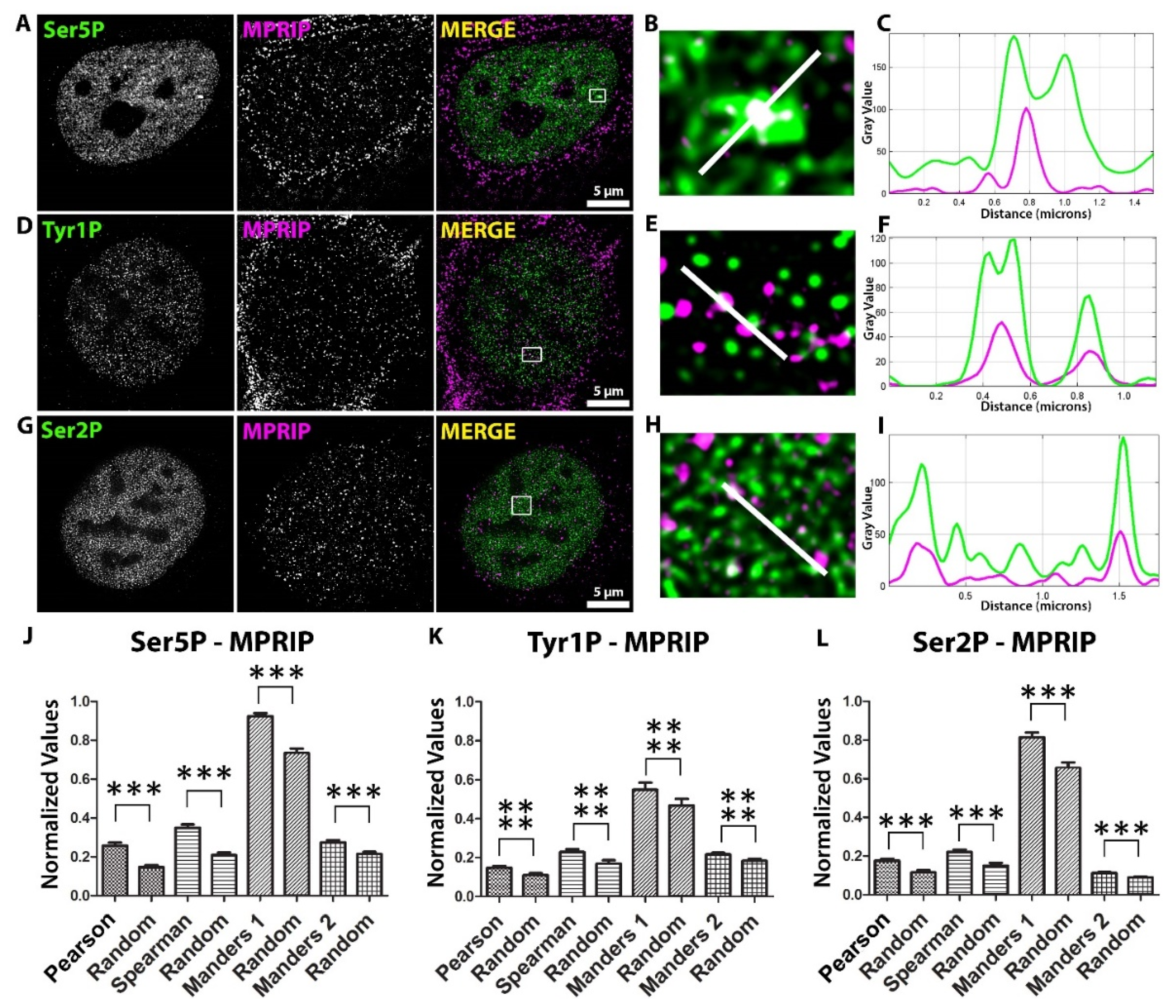 Biomolecules 13 00426 g001