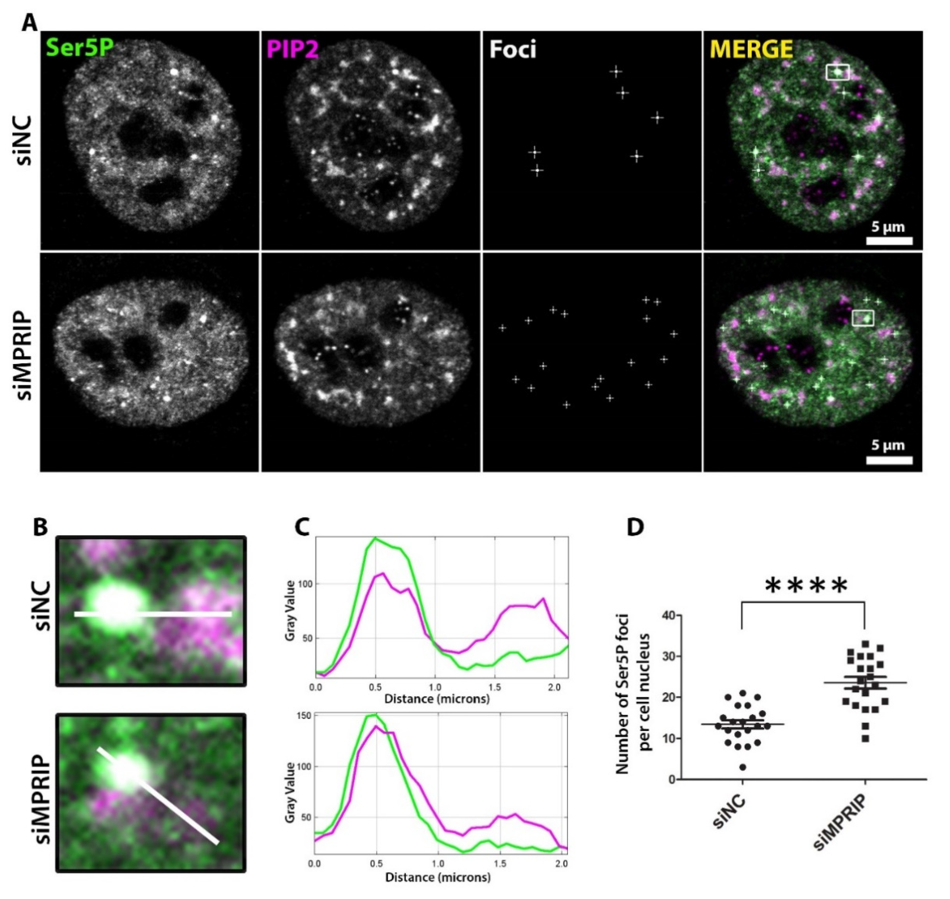 Biomolecules 13 00426 g003