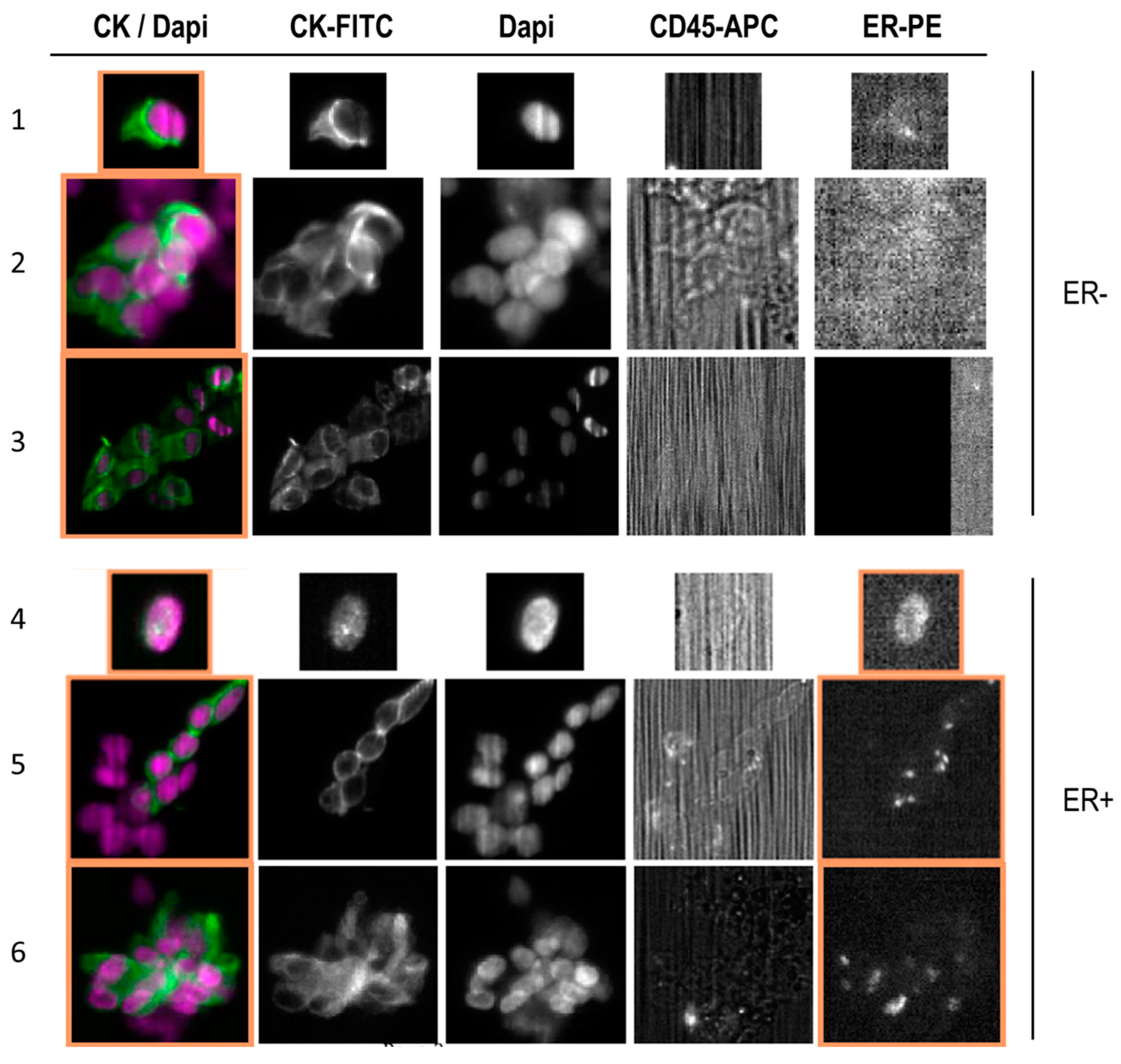Biomolecules 13 00428 g003 Biomolecules 13 00428 g003