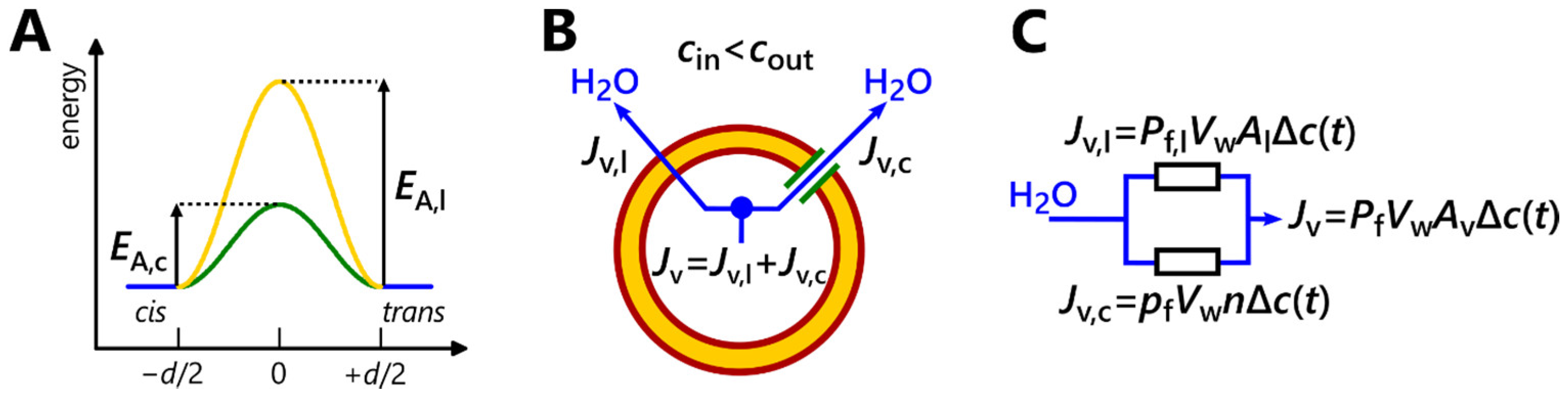 Biomolecules 13 00431 g001 Biomolecules 13 00431 g001