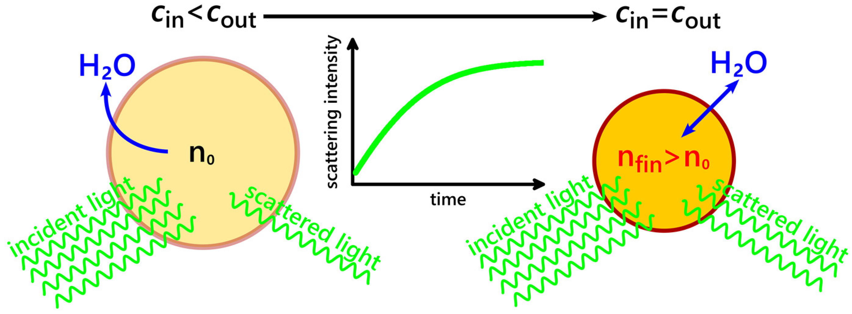 Biomolecules 13 00431 g003 Biomolecules 13 00431 g003