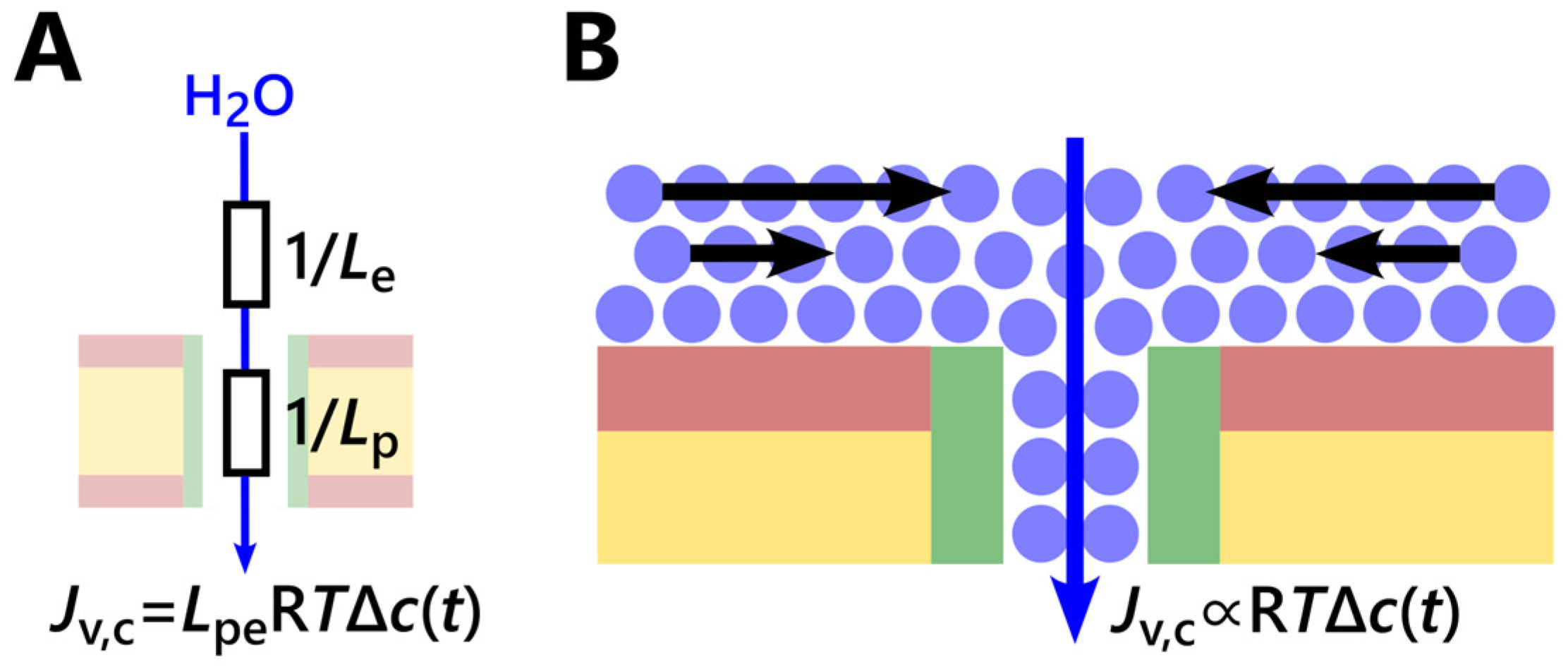 Biomolecules 13 00431 g008 Biomolecules 13 00431 g008