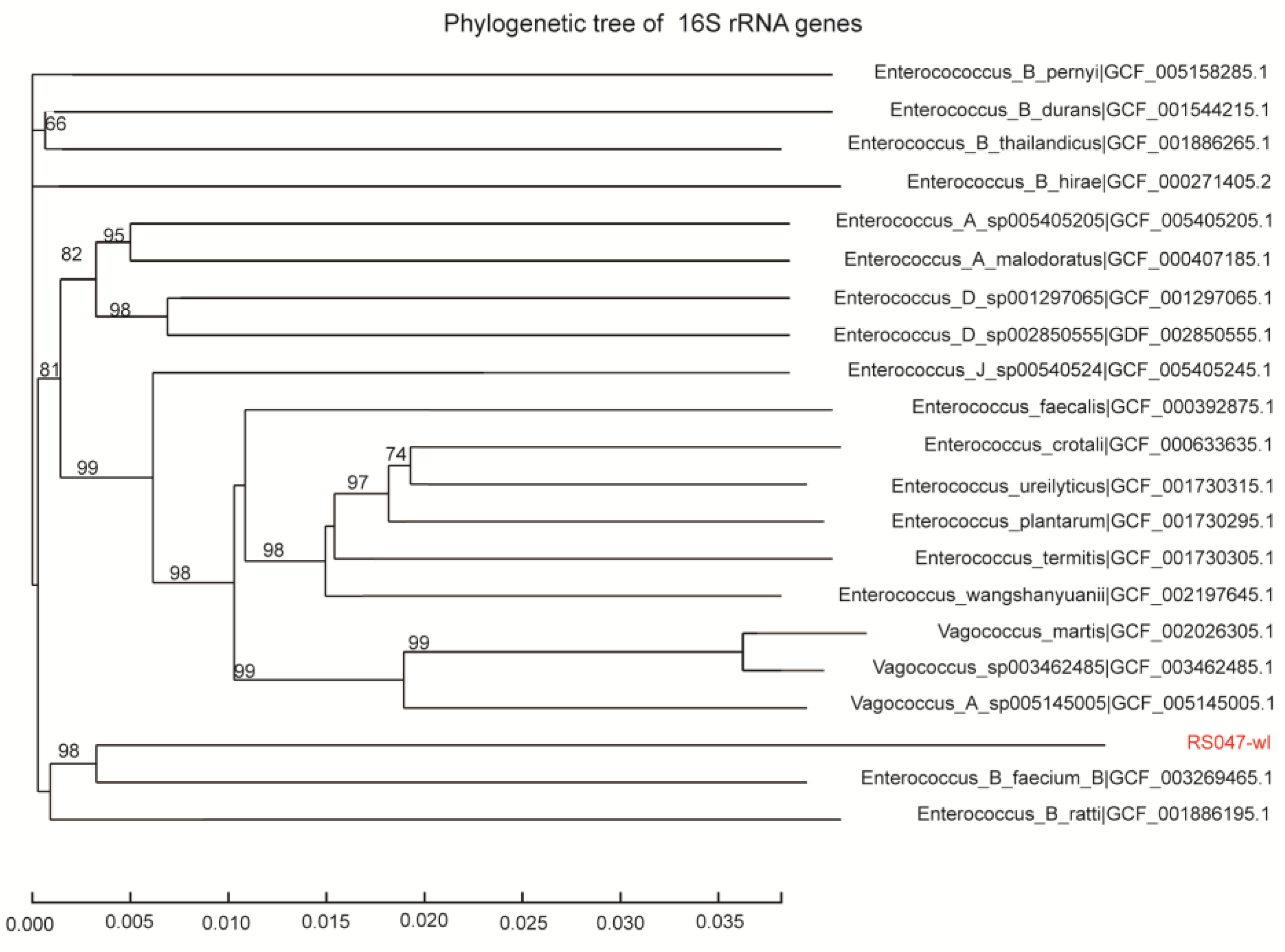 Biomolecules 13 00437 g001b Biomolecules 13 00437 g001b