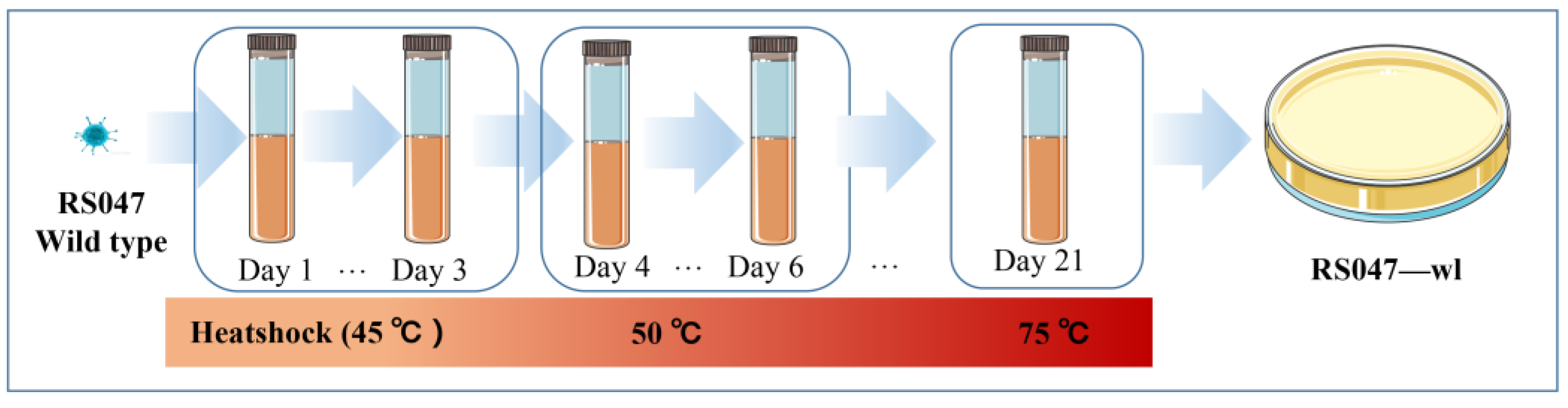Biomolecules 13 00437 g002 Biomolecules 13 00437 g002