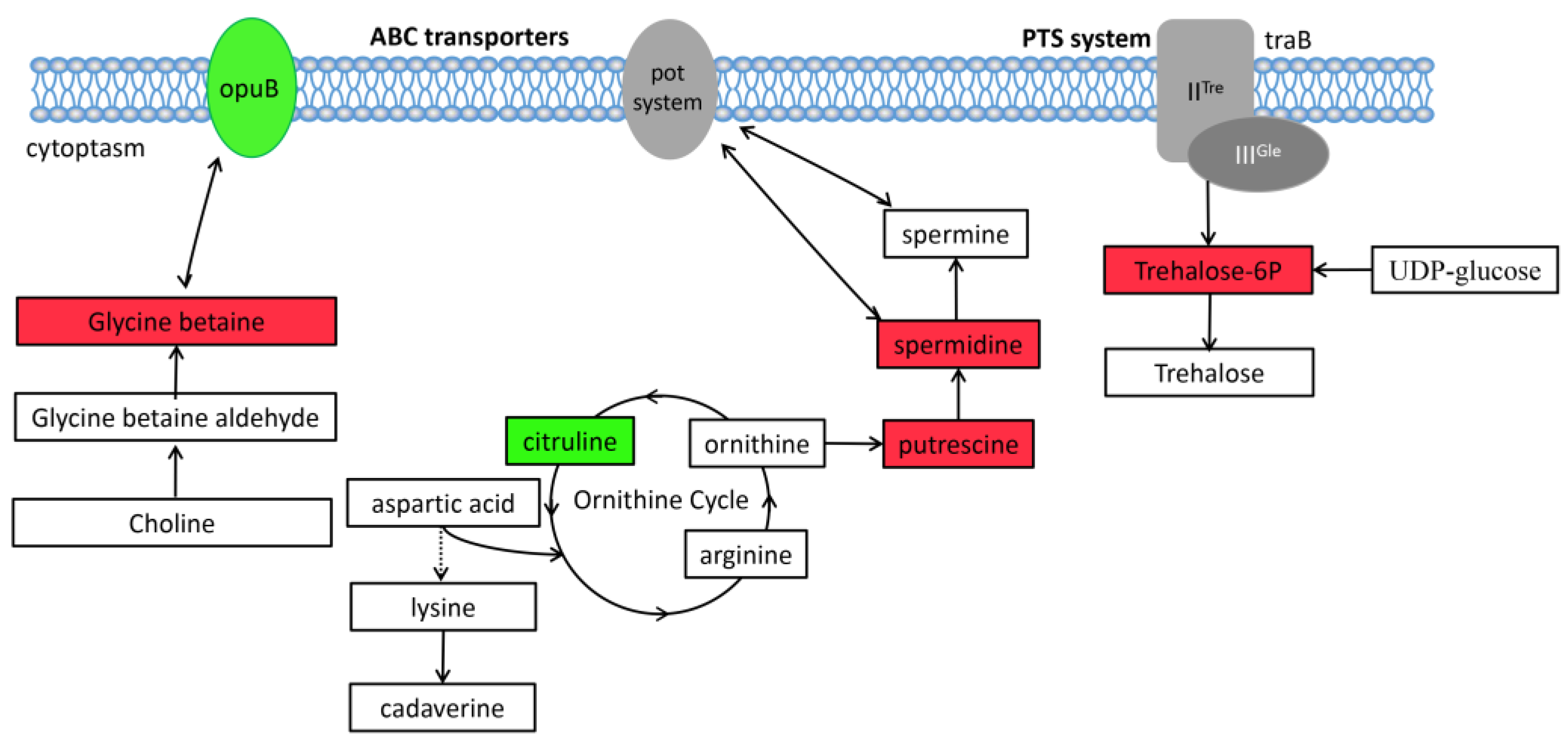 Biomolecules 13 00437 g008 Biomolecules 13 00437 g008