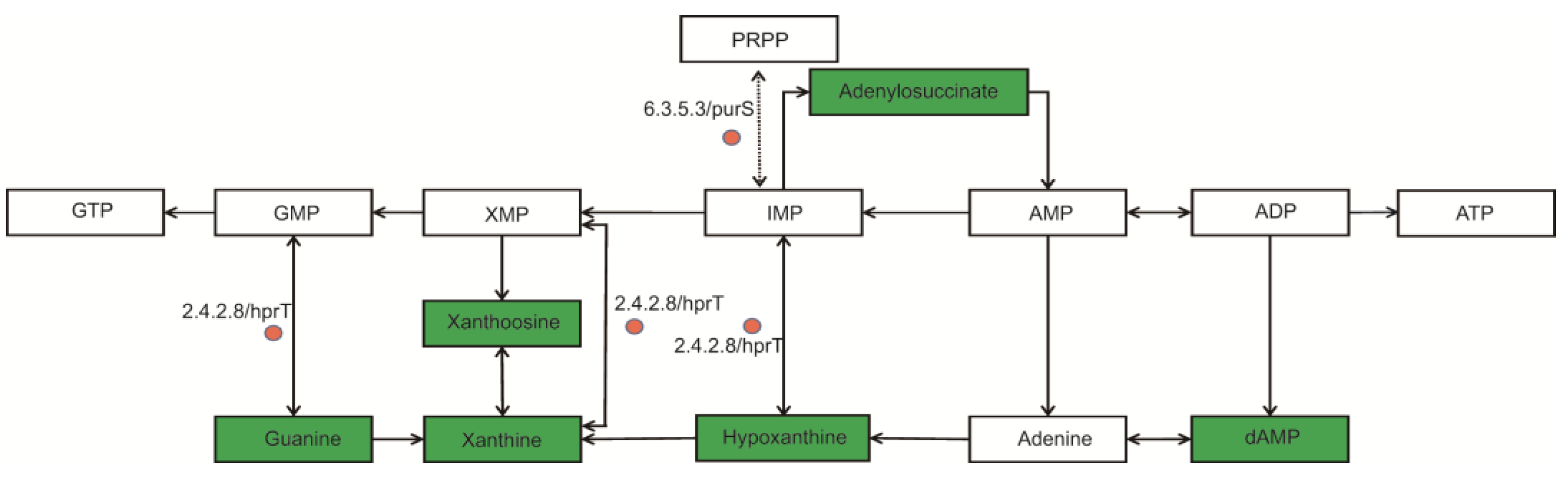 Biomolecules 13 00437 g010 Biomolecules 13 00437 g010