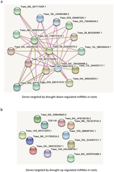 Genome-Wide Analysis of microRNA Expression Profile in Roots and Leaves ...