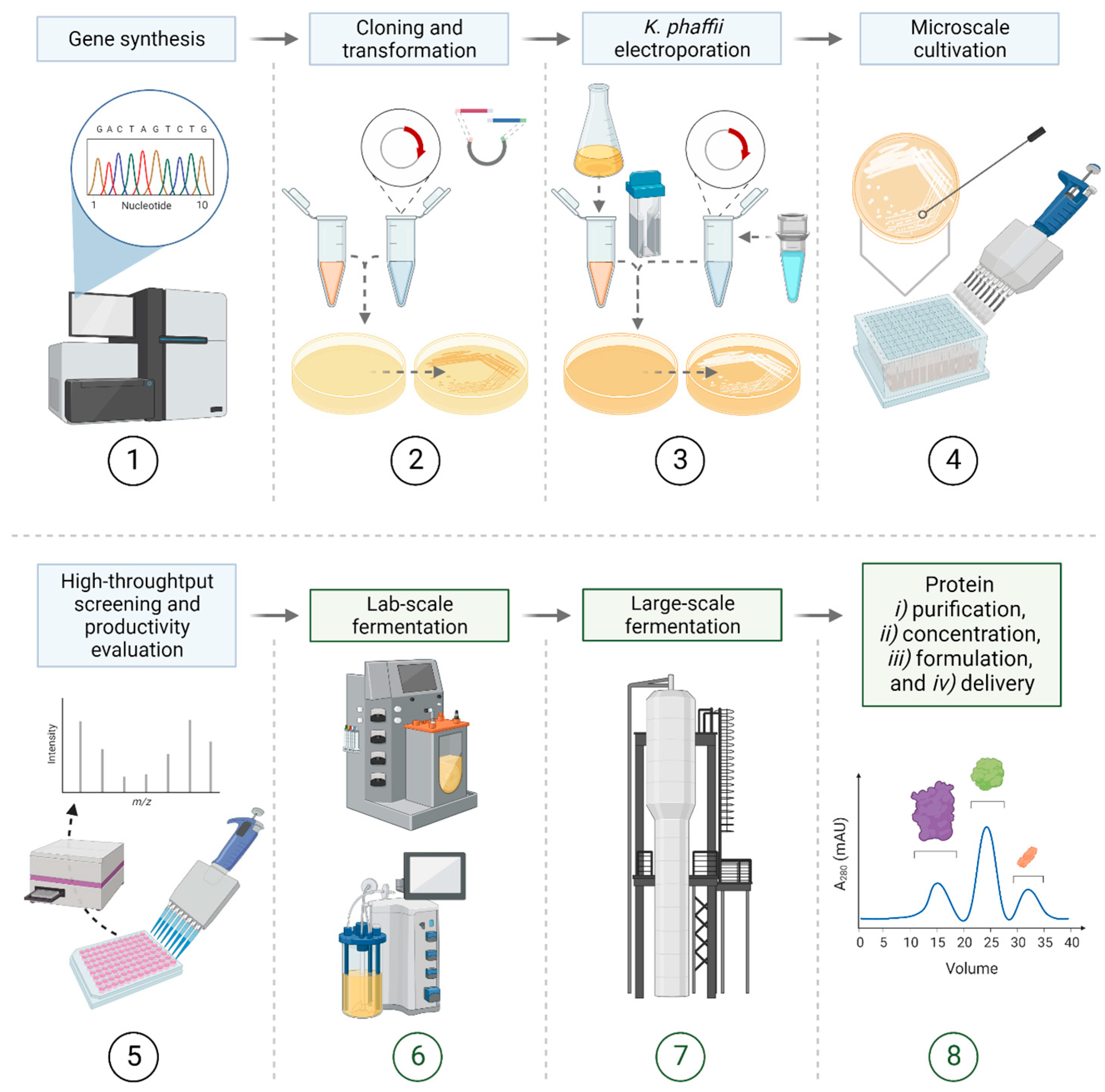 Biomolecules 13 00441 g002
