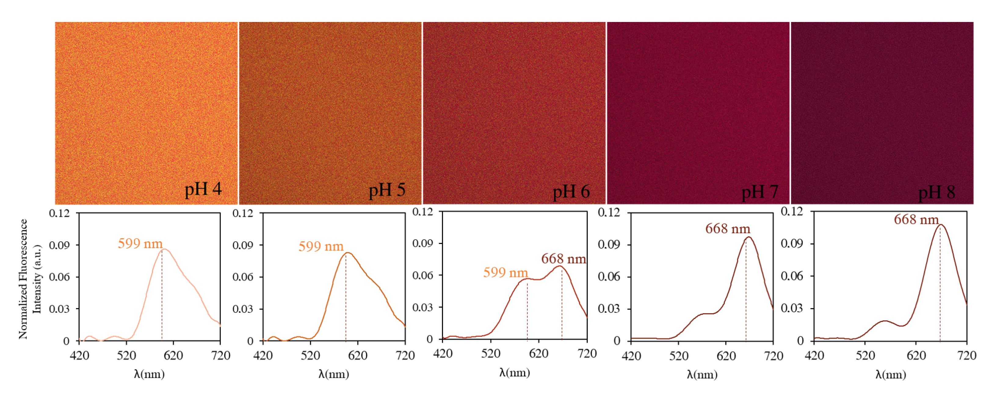 Biomolecules 13 00442 g003