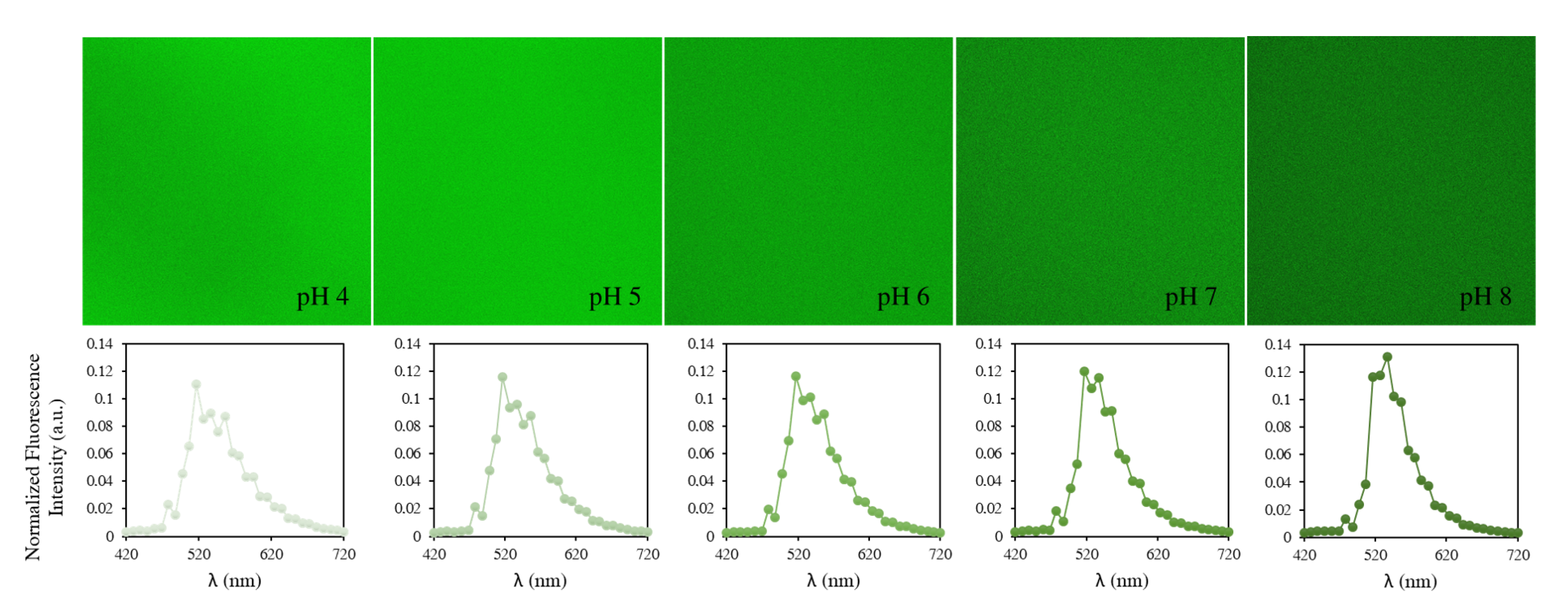Biomolecules 13 00442 g005