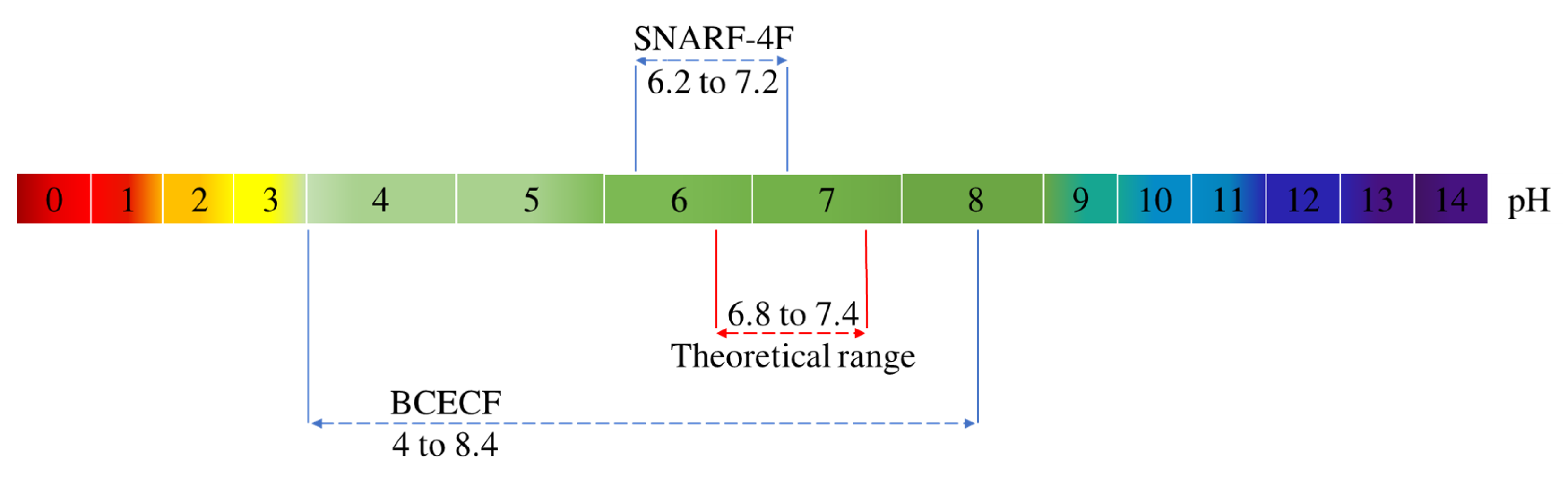 Biomolecules 13 00442 g011