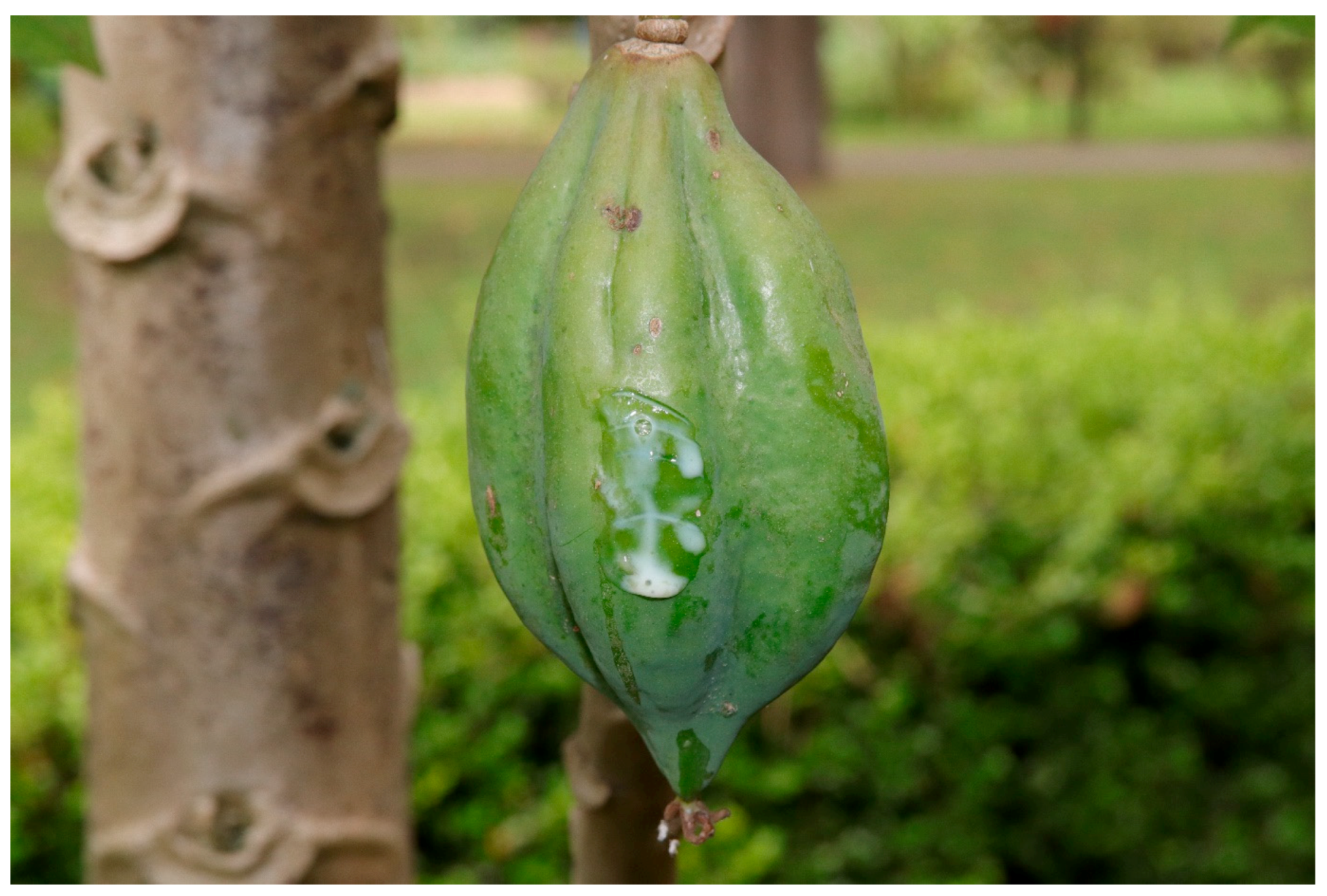 Biomolecules 13 00444 g002 Biomolecules 13 00444 g002