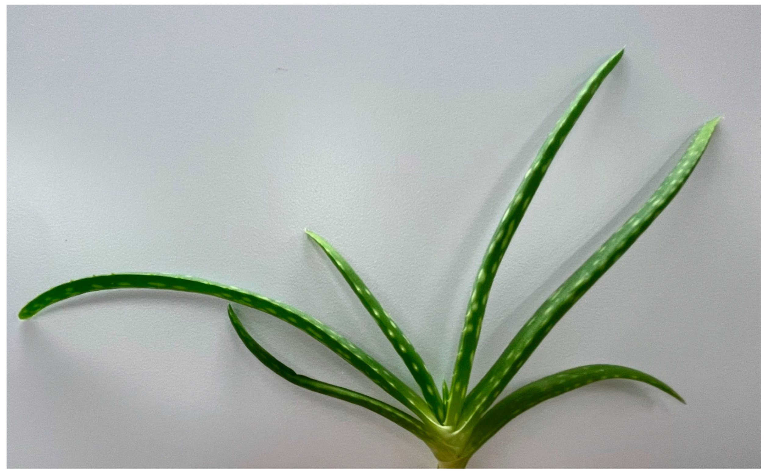 Biomolecules 13 00444 g010 Biomolecules 13 00444 g010