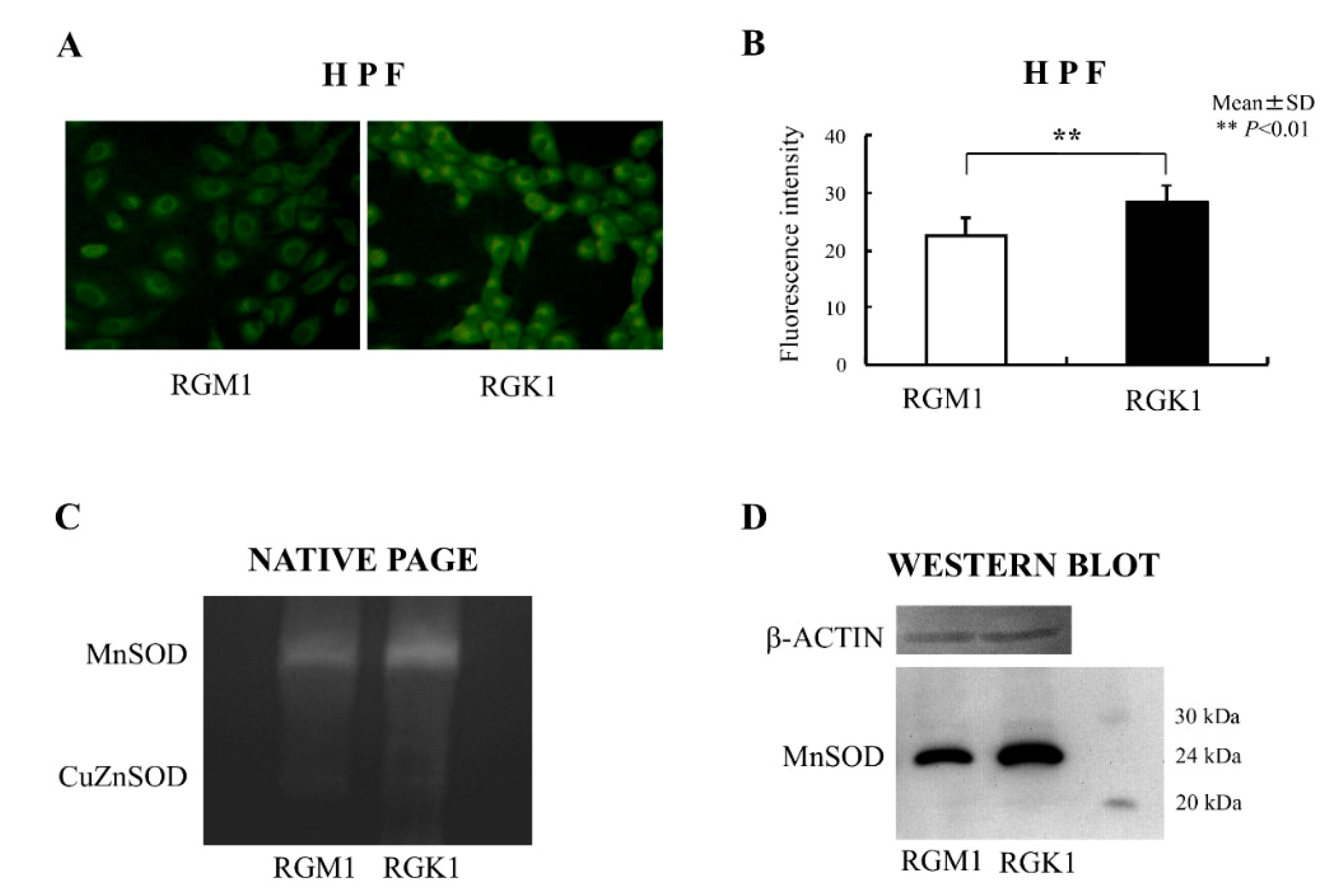 Biomolecules 13 00445 g002