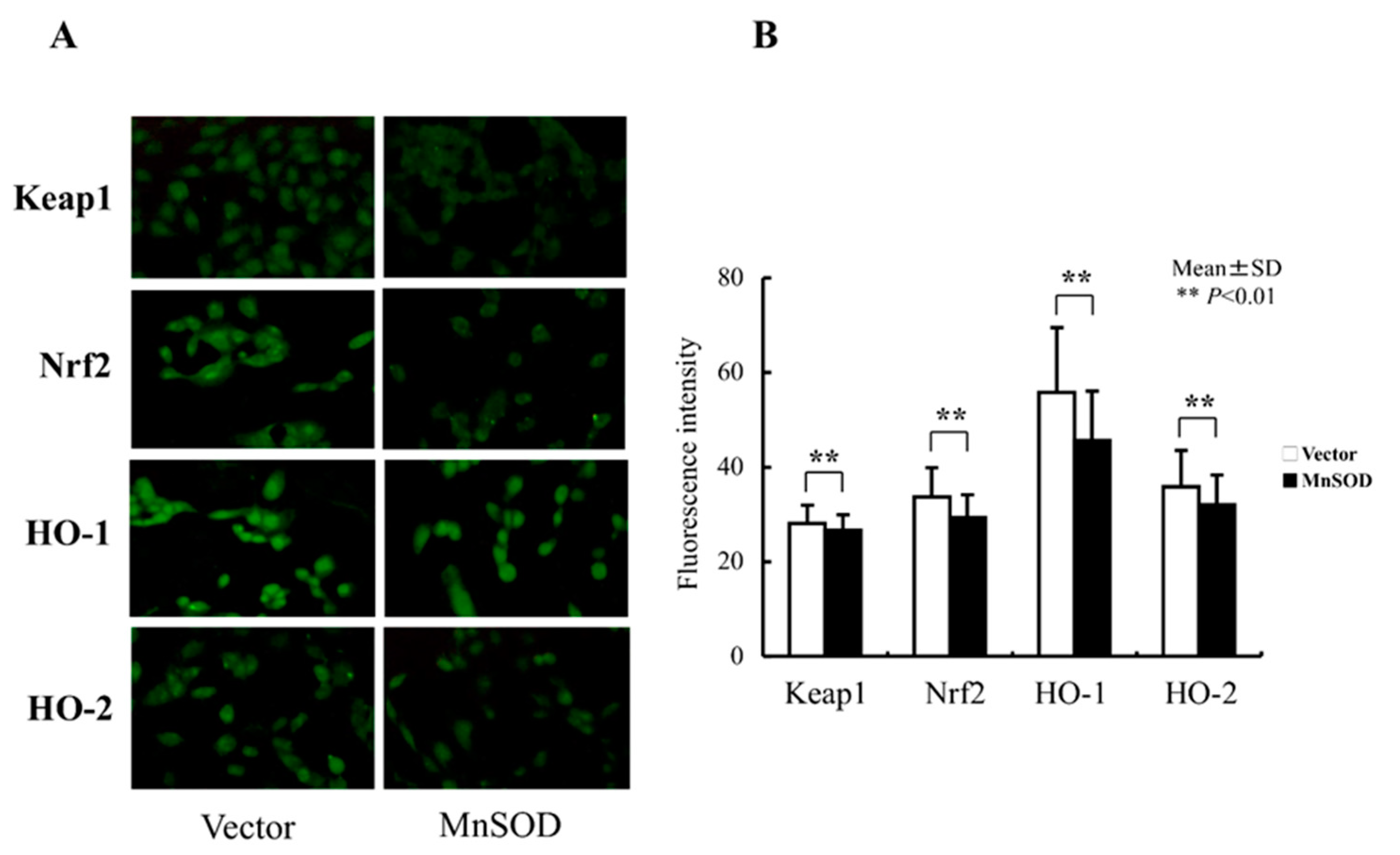 Biomolecules 13 00445 g006