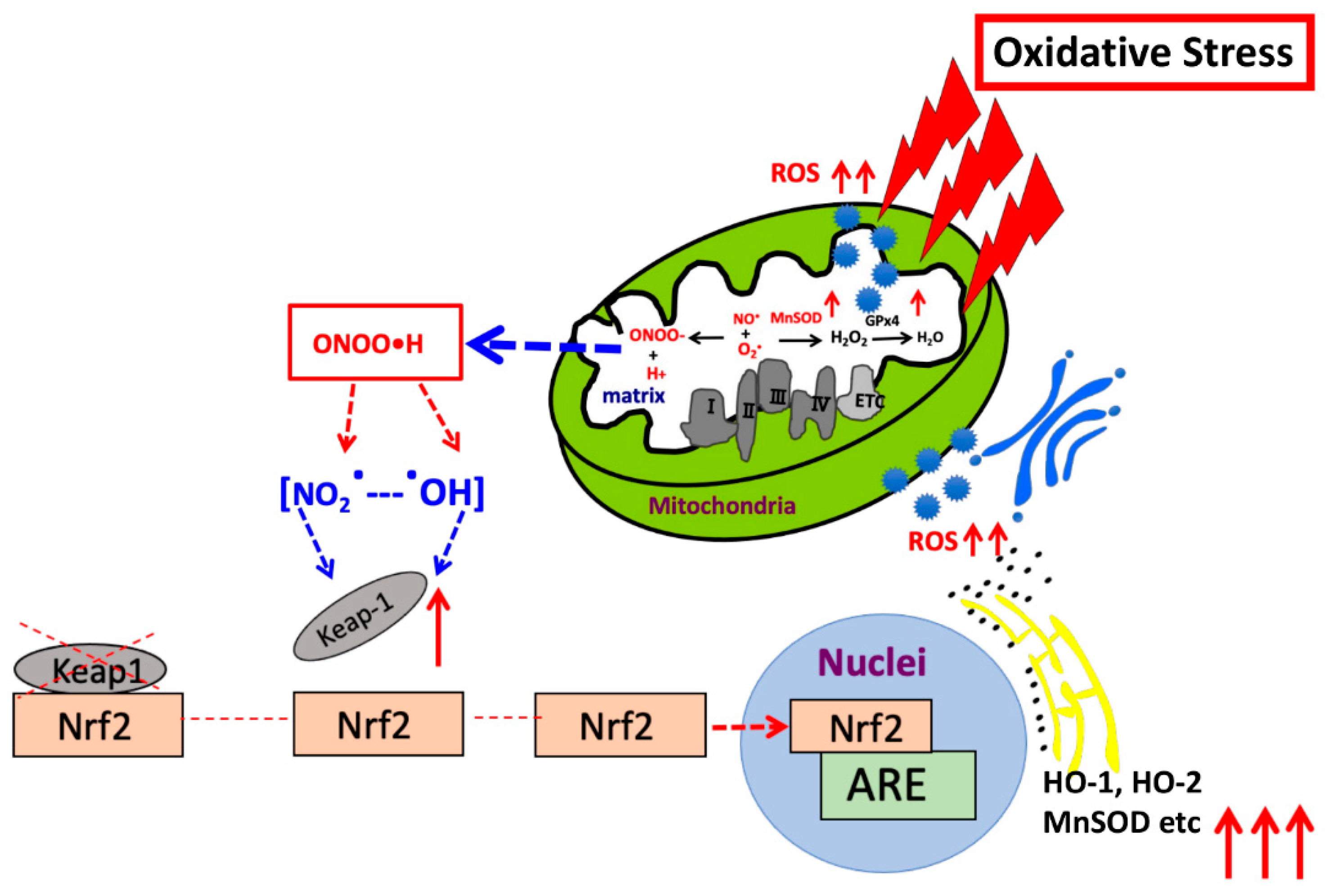Biomolecules 13 00445 g009
