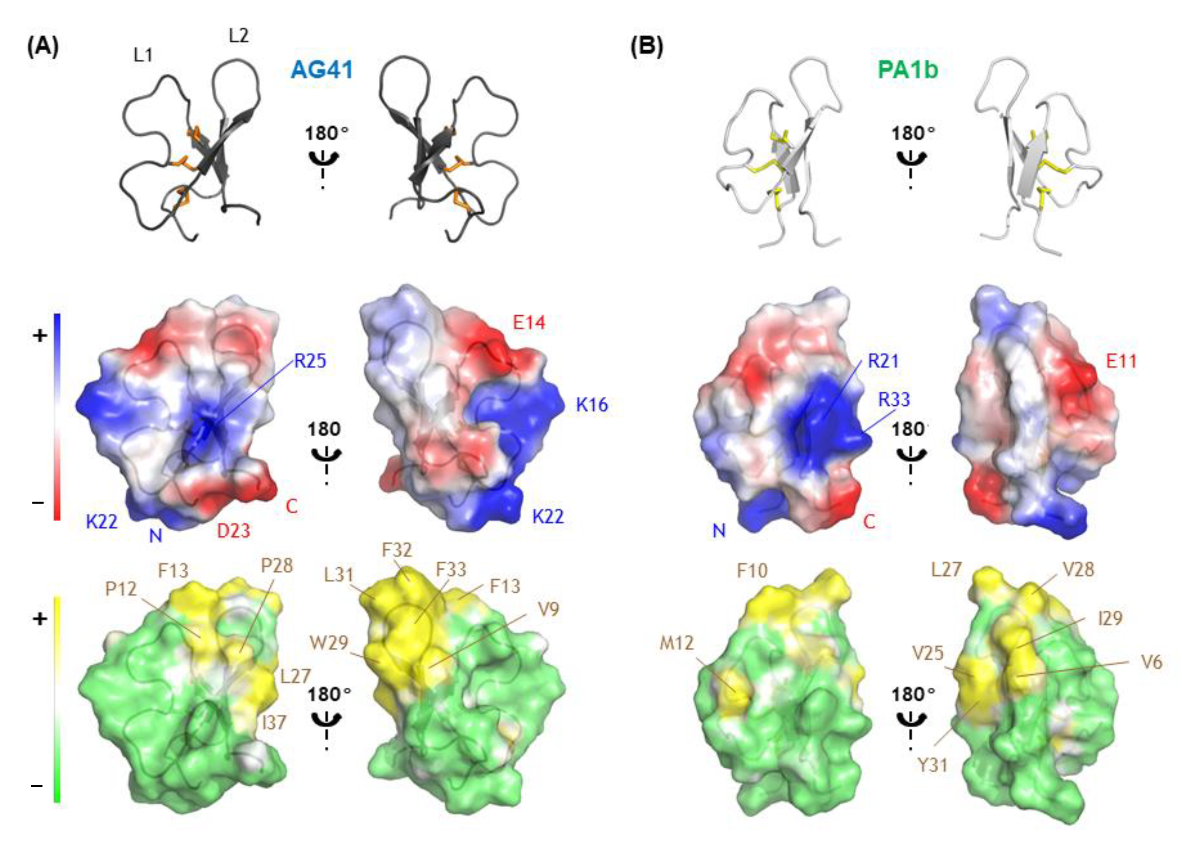 Biomolecules 13 00446 g004 Biomolecules 13 00446 g004