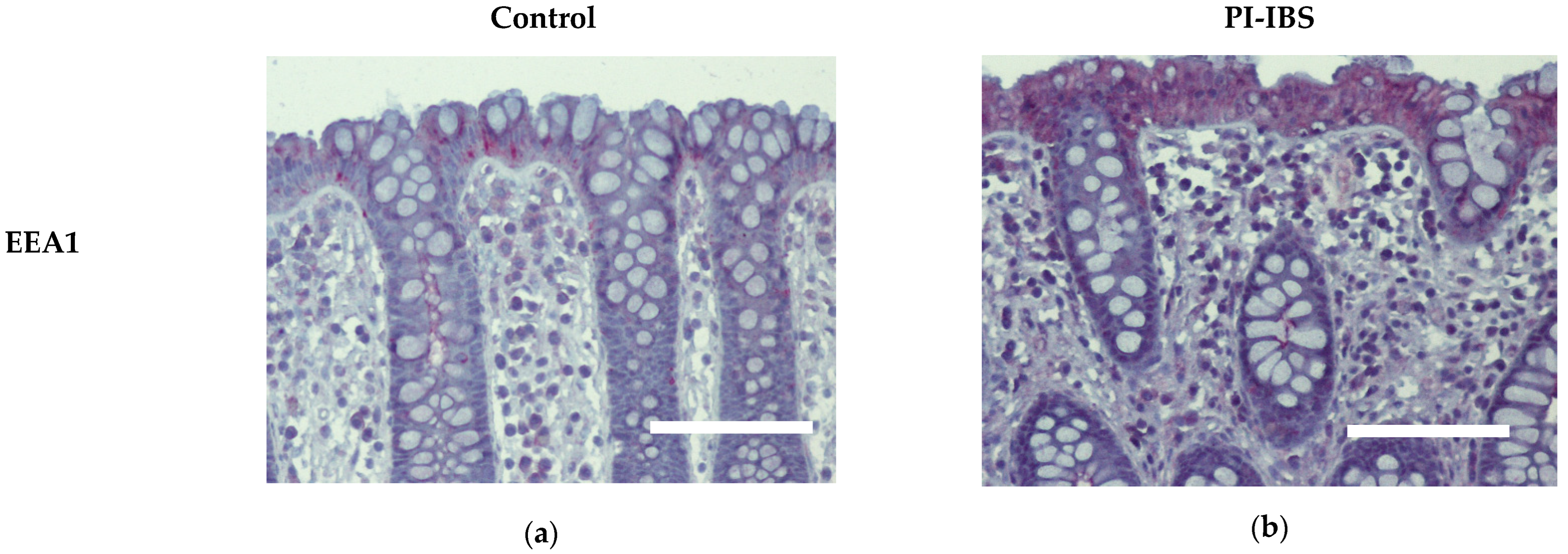 Biomolecules 13 00449 g005 Biomolecules 13 00449 g005