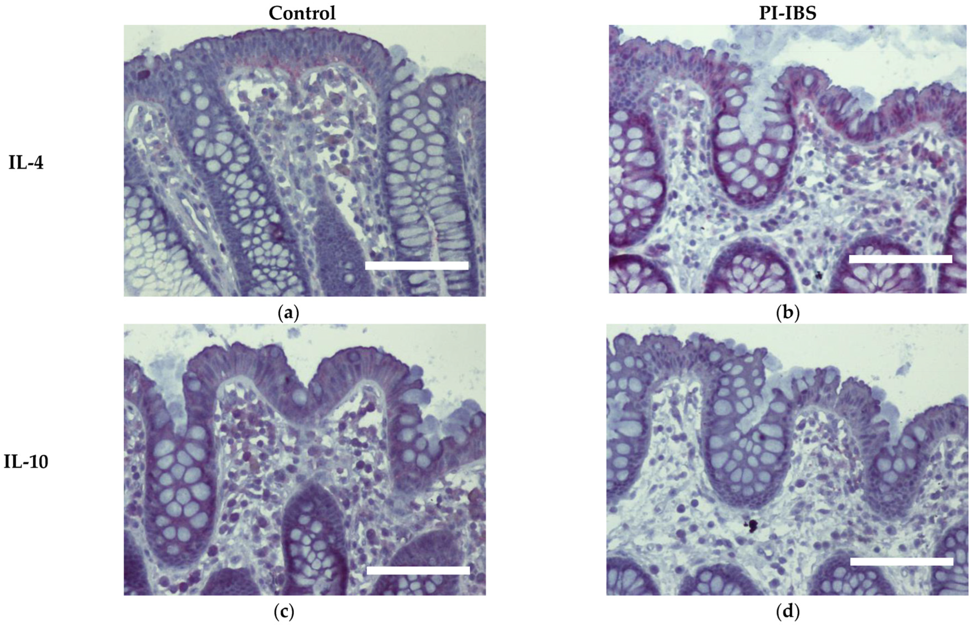 Biomolecules 13 00449 g006 Biomolecules 13 00449 g006