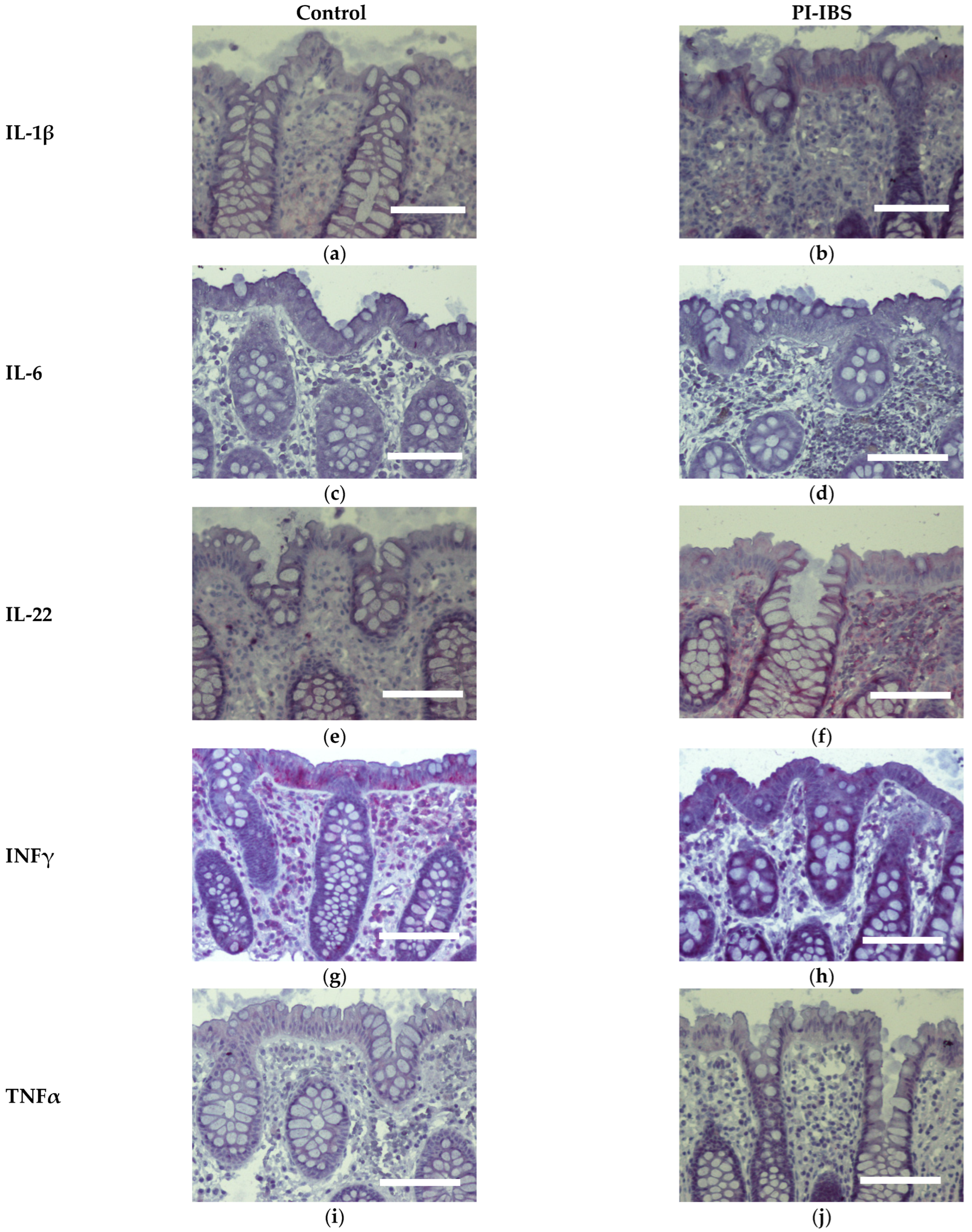 Biomolecules 13 00449 g007 Biomolecules 13 00449 g007