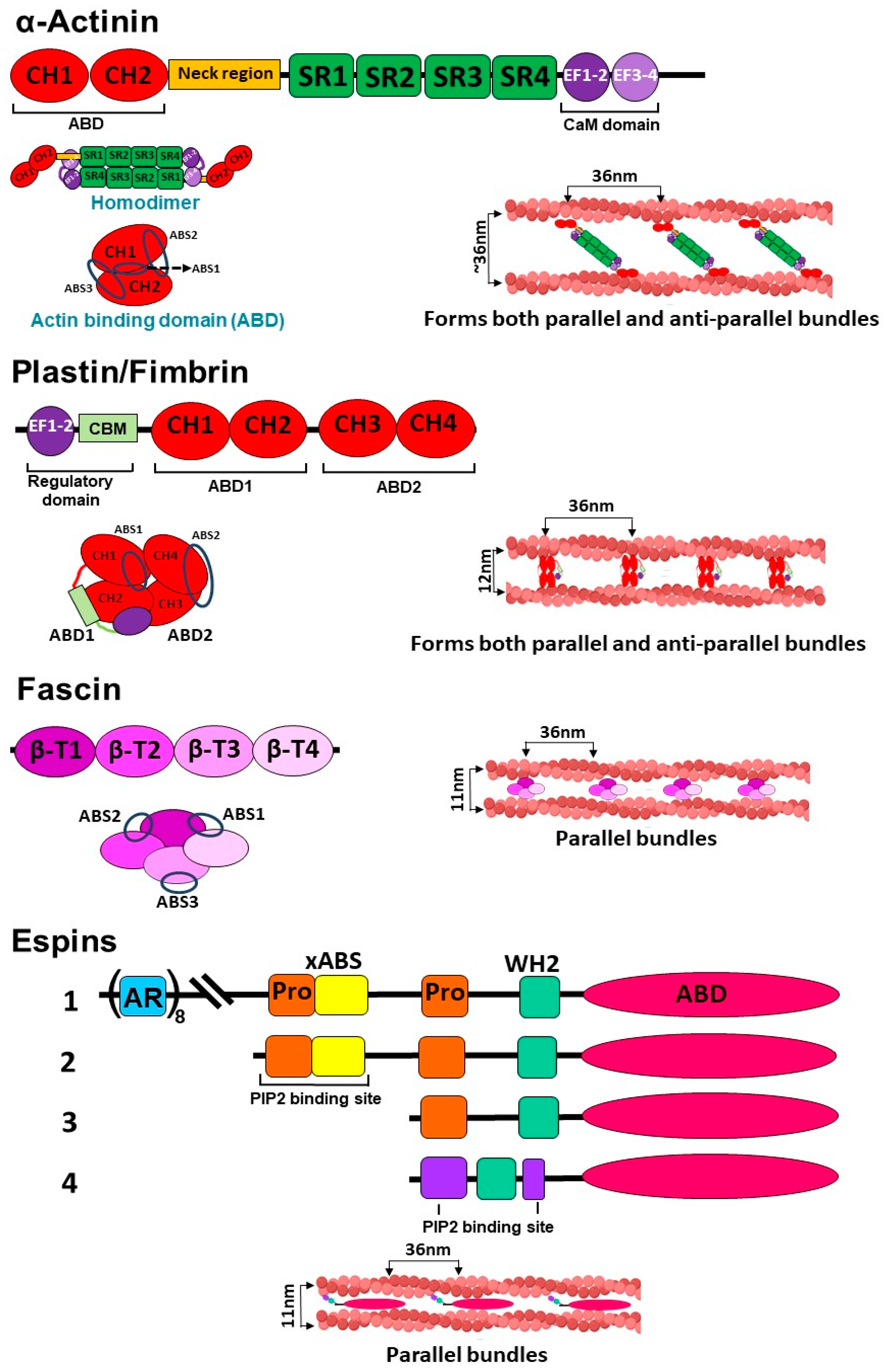 Biomolecules 13 00450 g003 Biomolecules 13 00450 g003