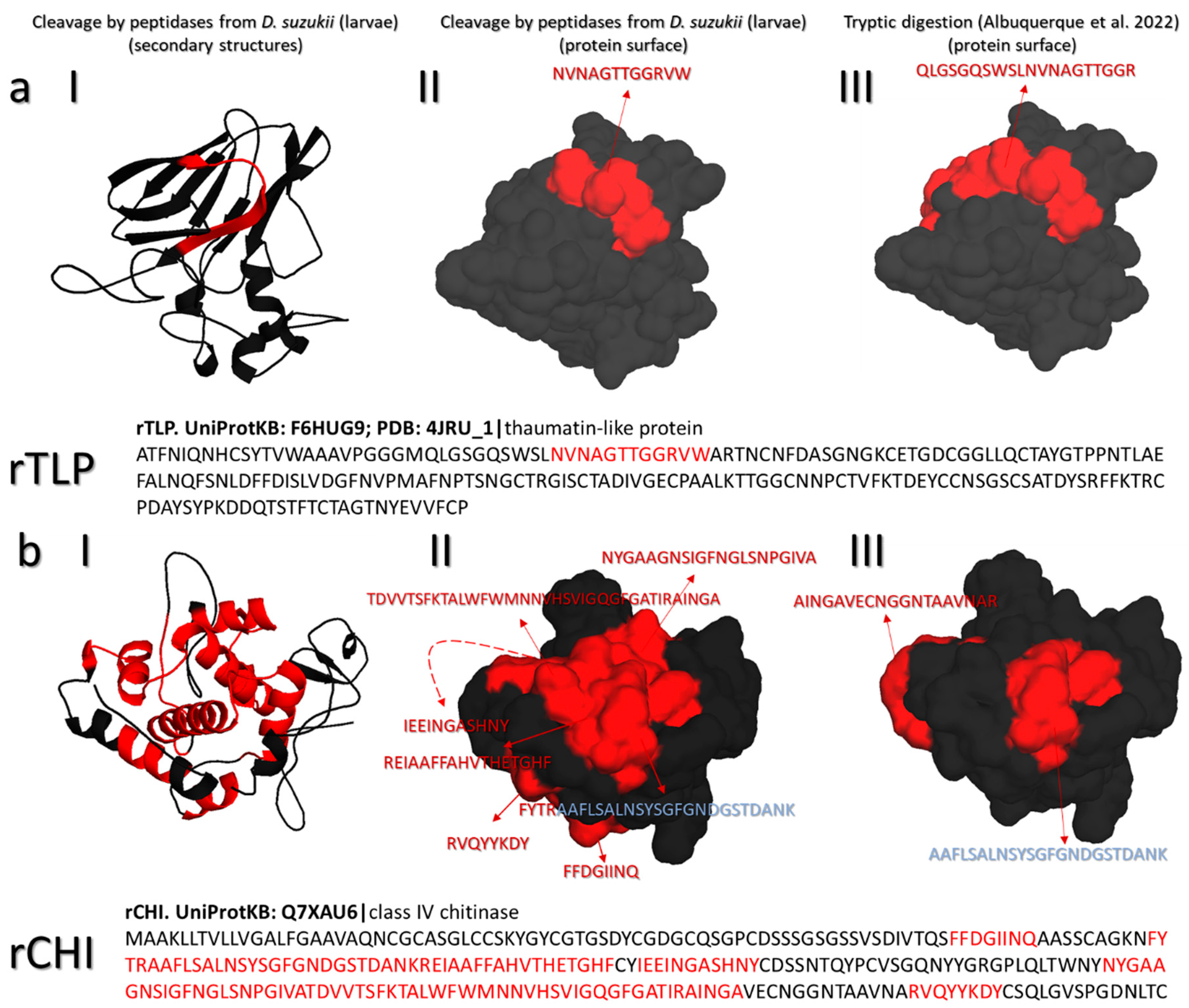 Biomolecules 13 00451 g003