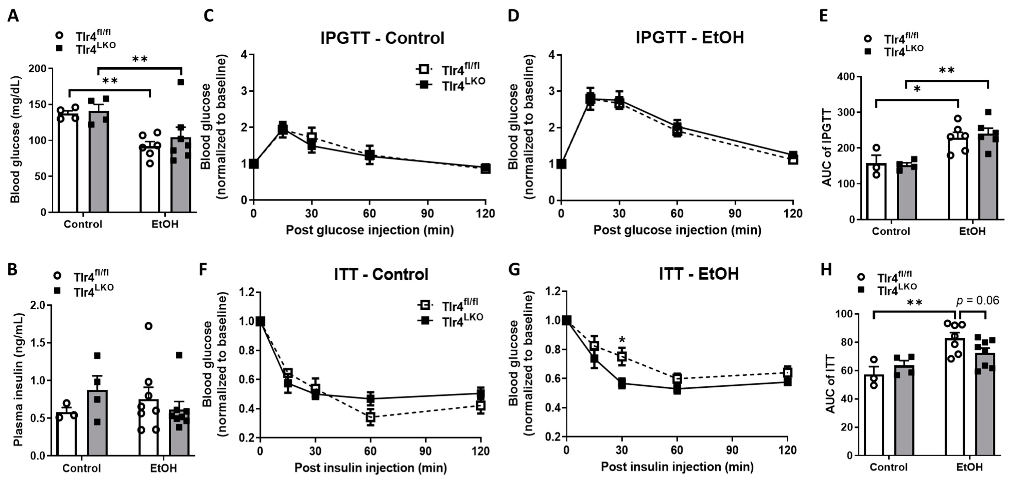 Biomolecules 13 00454 g001