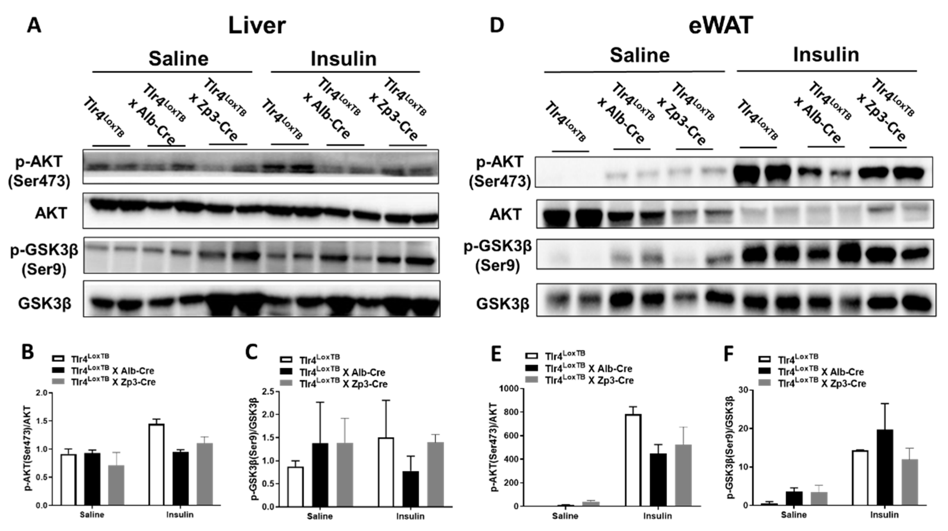 Biomolecules 13 00454 g005