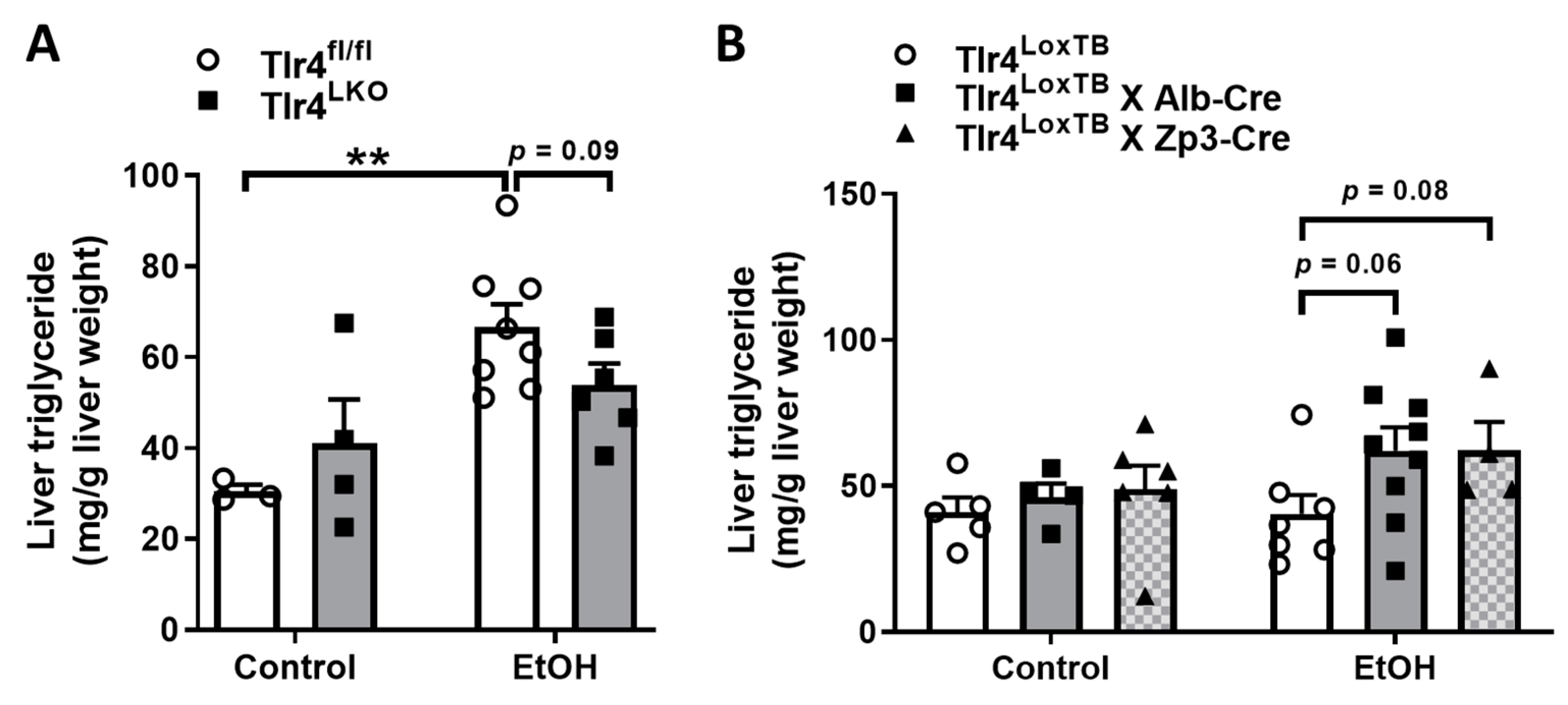 Biomolecules 13 00454 g006
