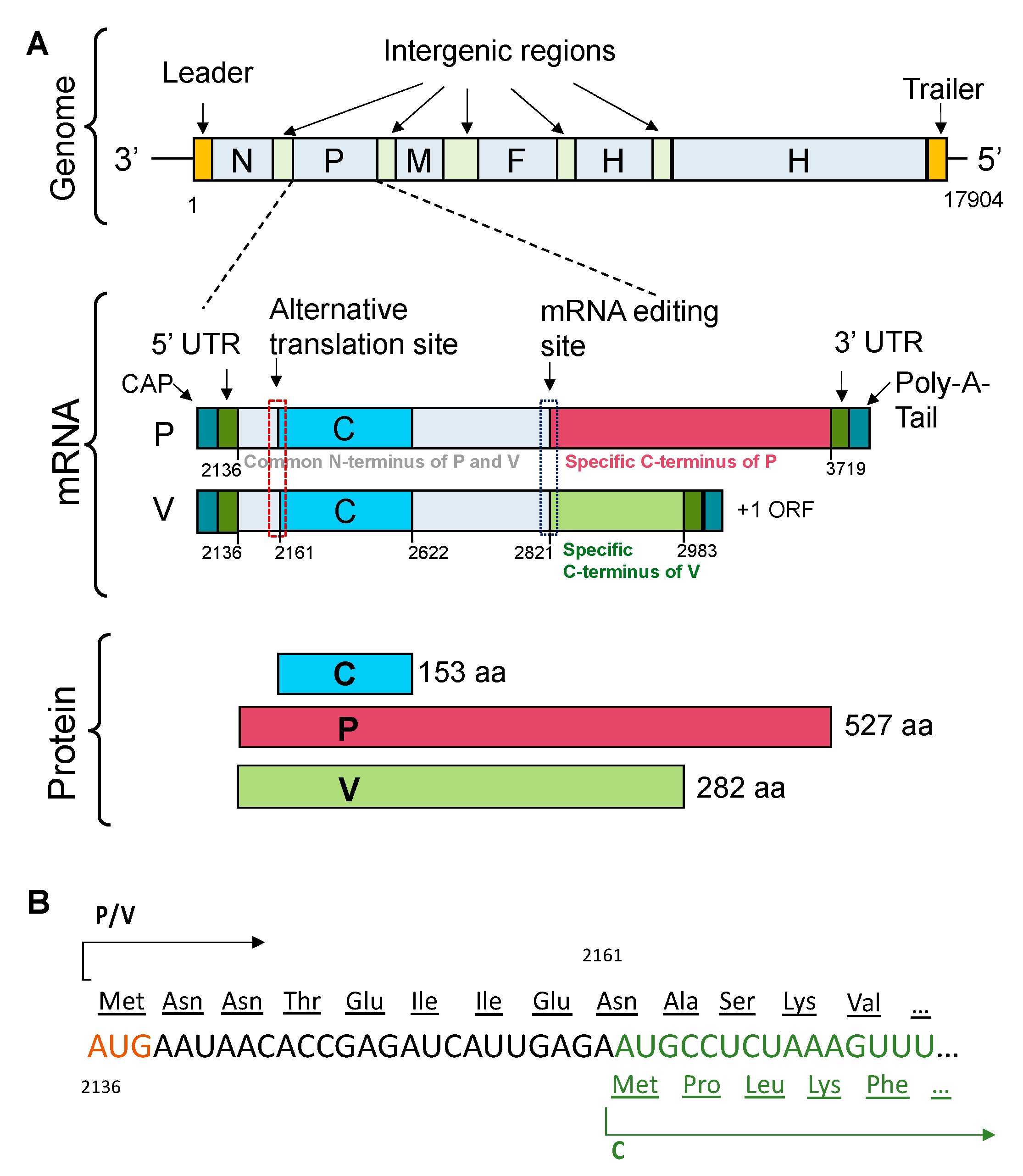 NVidia Ada Speculation, Rumours and Discussion, Page 86